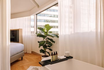 a room with a window and a plant