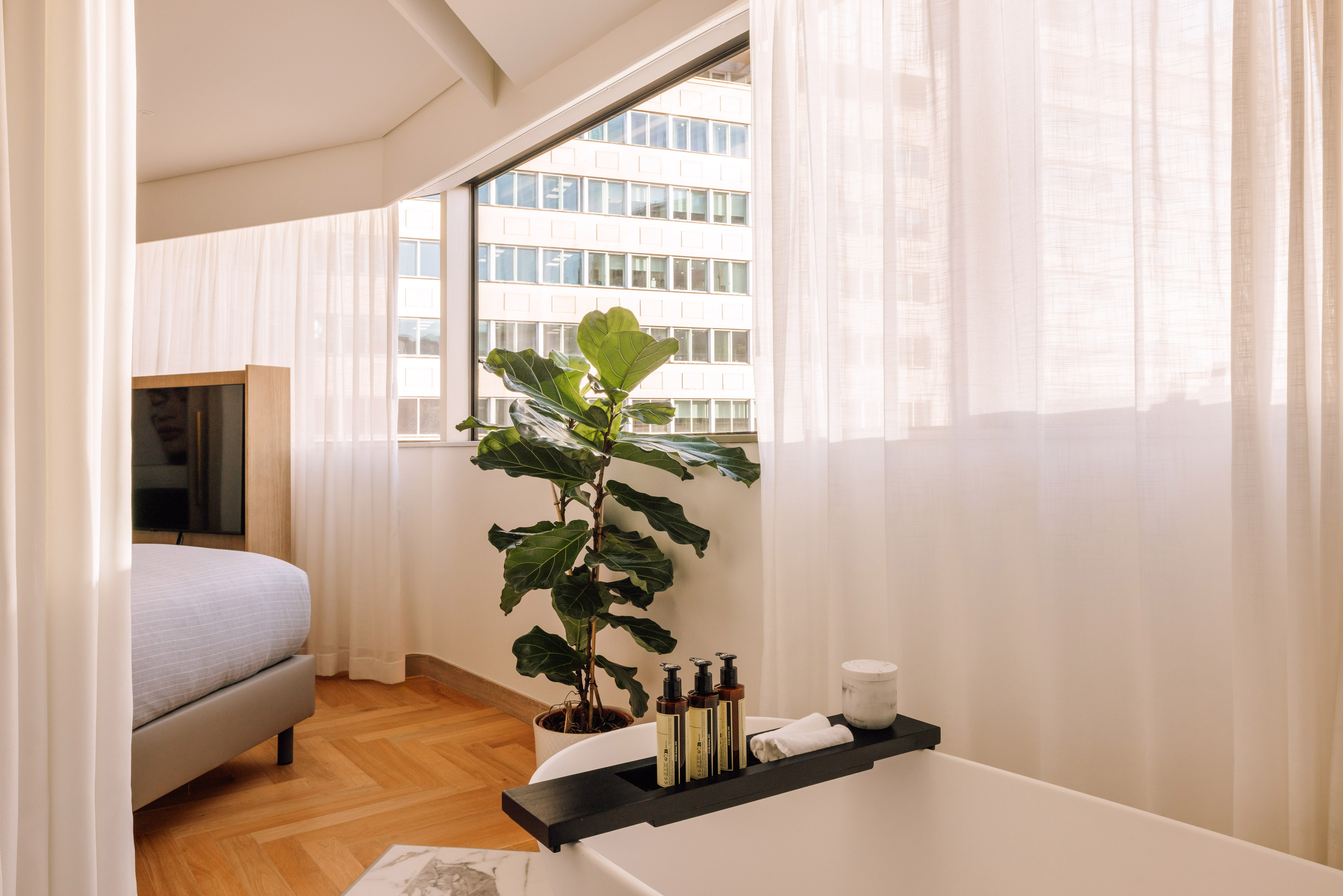 Modern hotel suite with bathtub, city view, green plant, and wood floor.