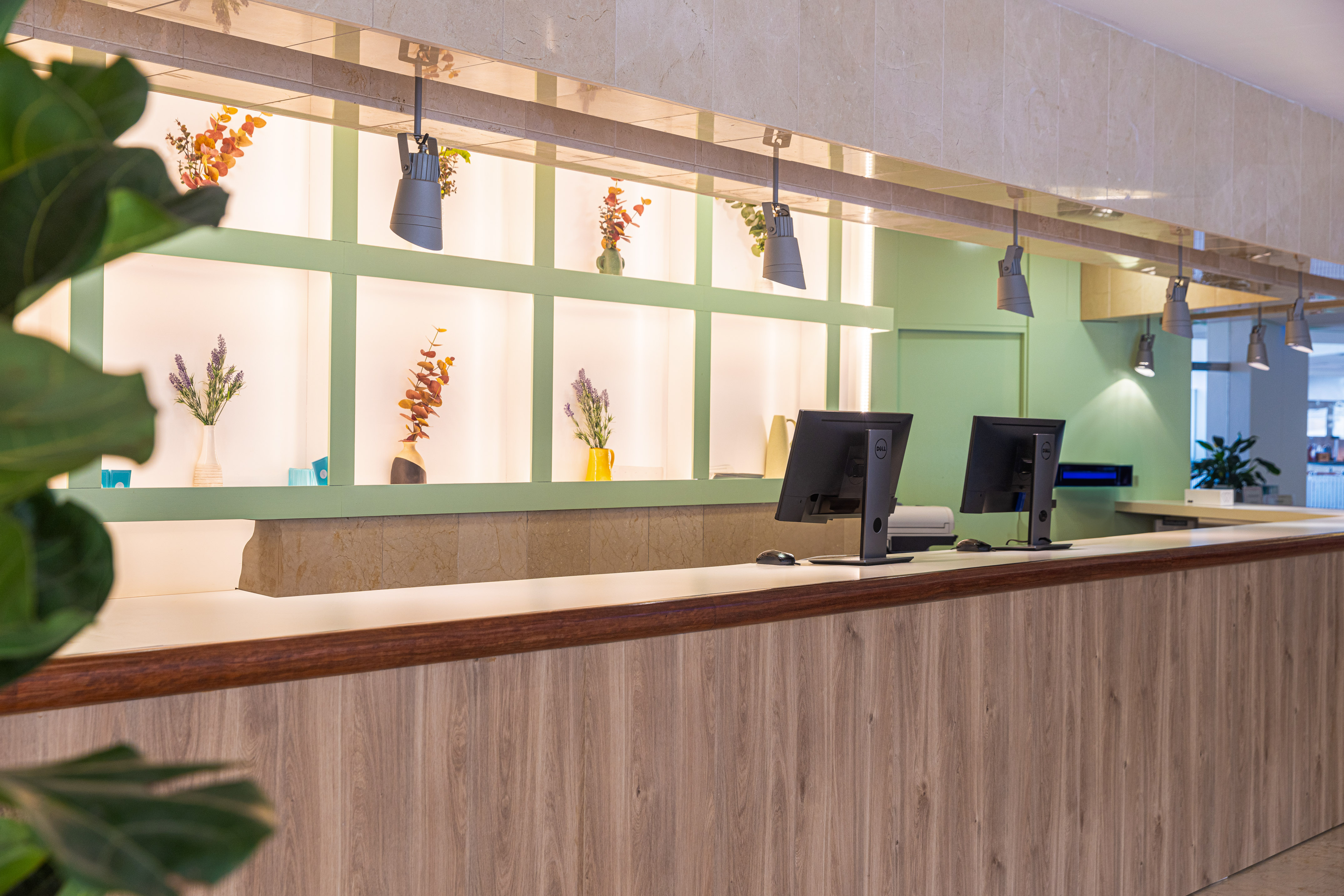 Modern hotel reception desk with computers, green wall, and decorative plants.