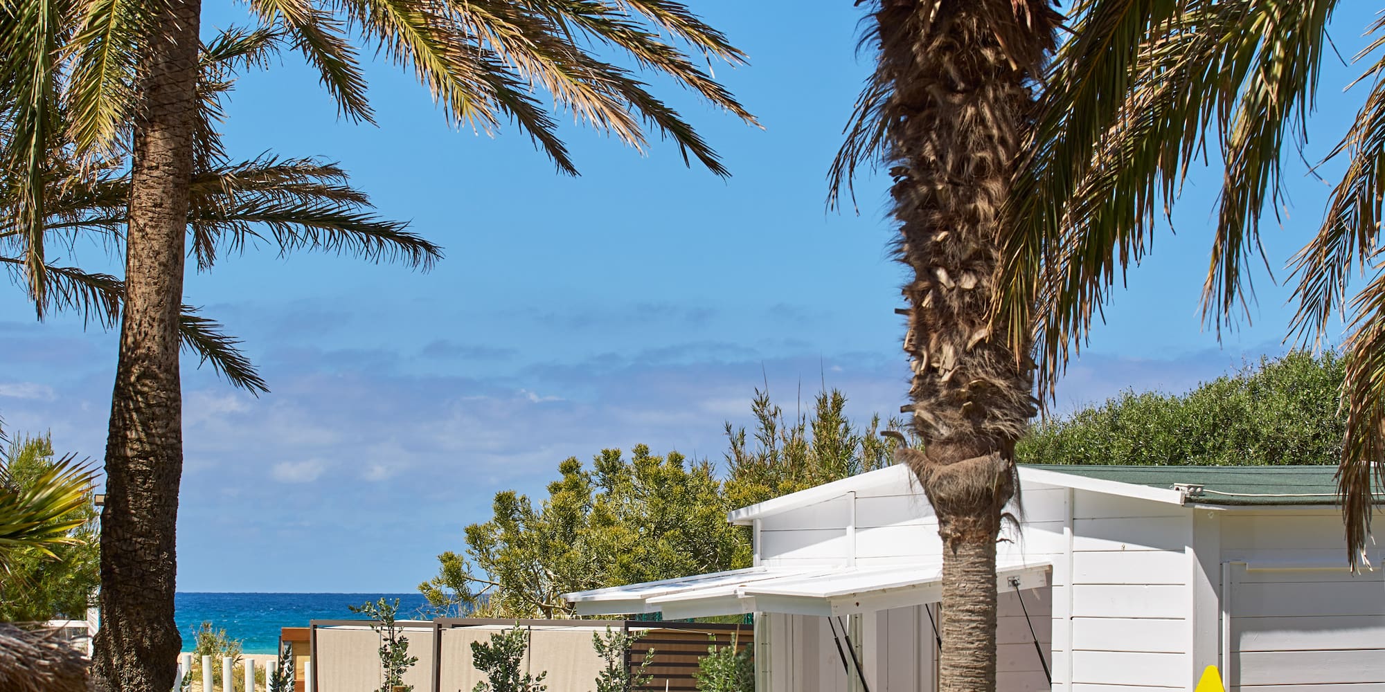 a white house with palm trees and a bar