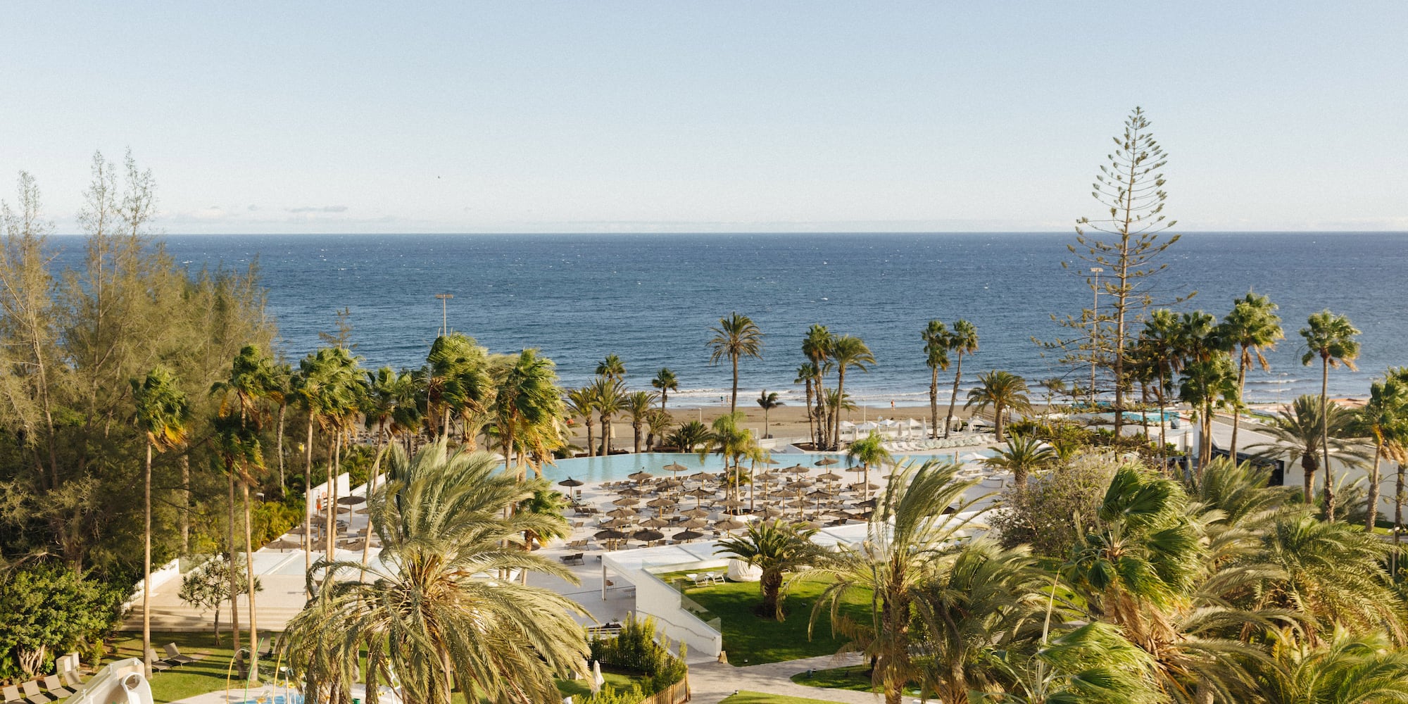Tropical beach resort with ocean, palm trees, and swimming pool.