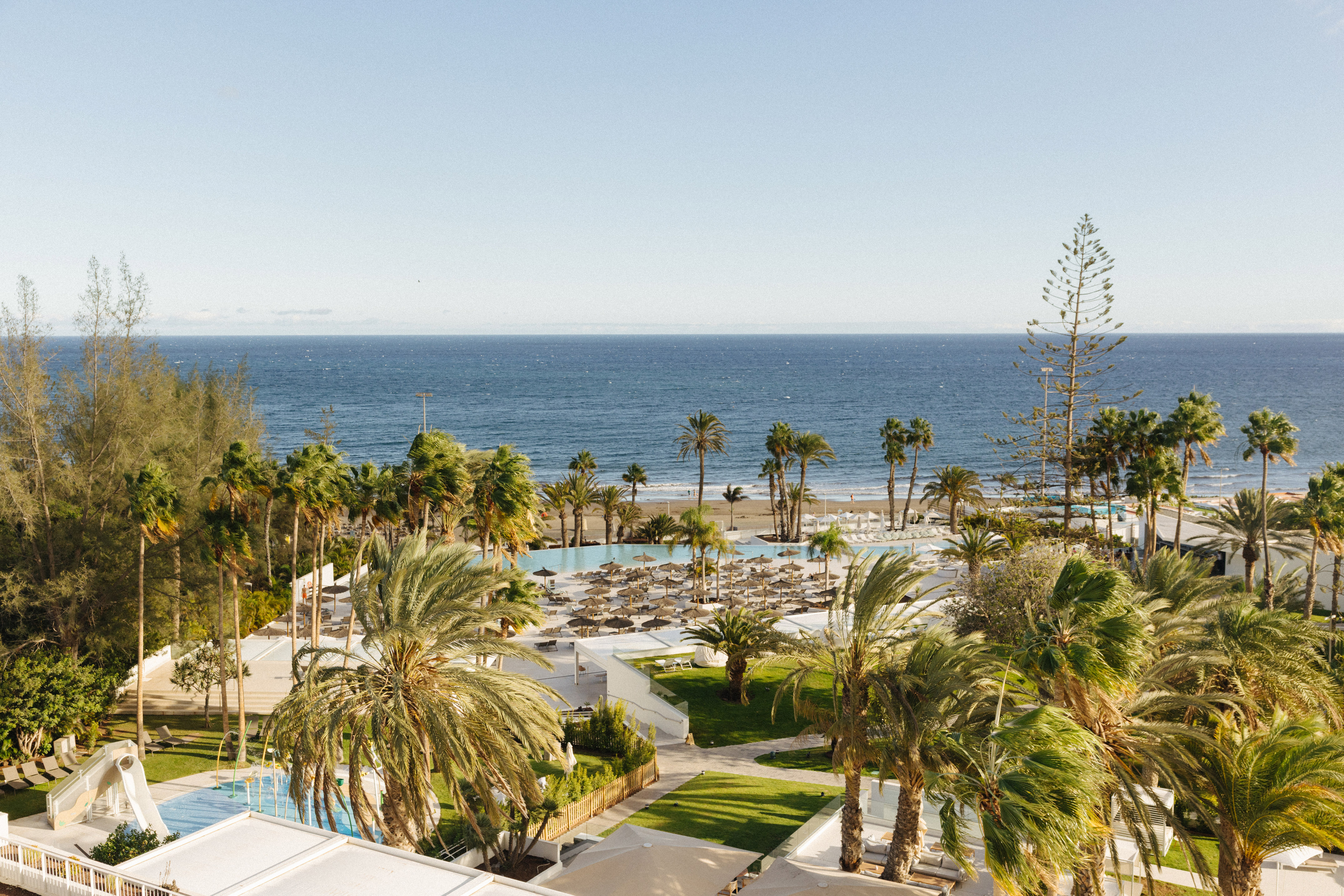 Tropical beach resort with ocean, palm trees, and swimming pool.
