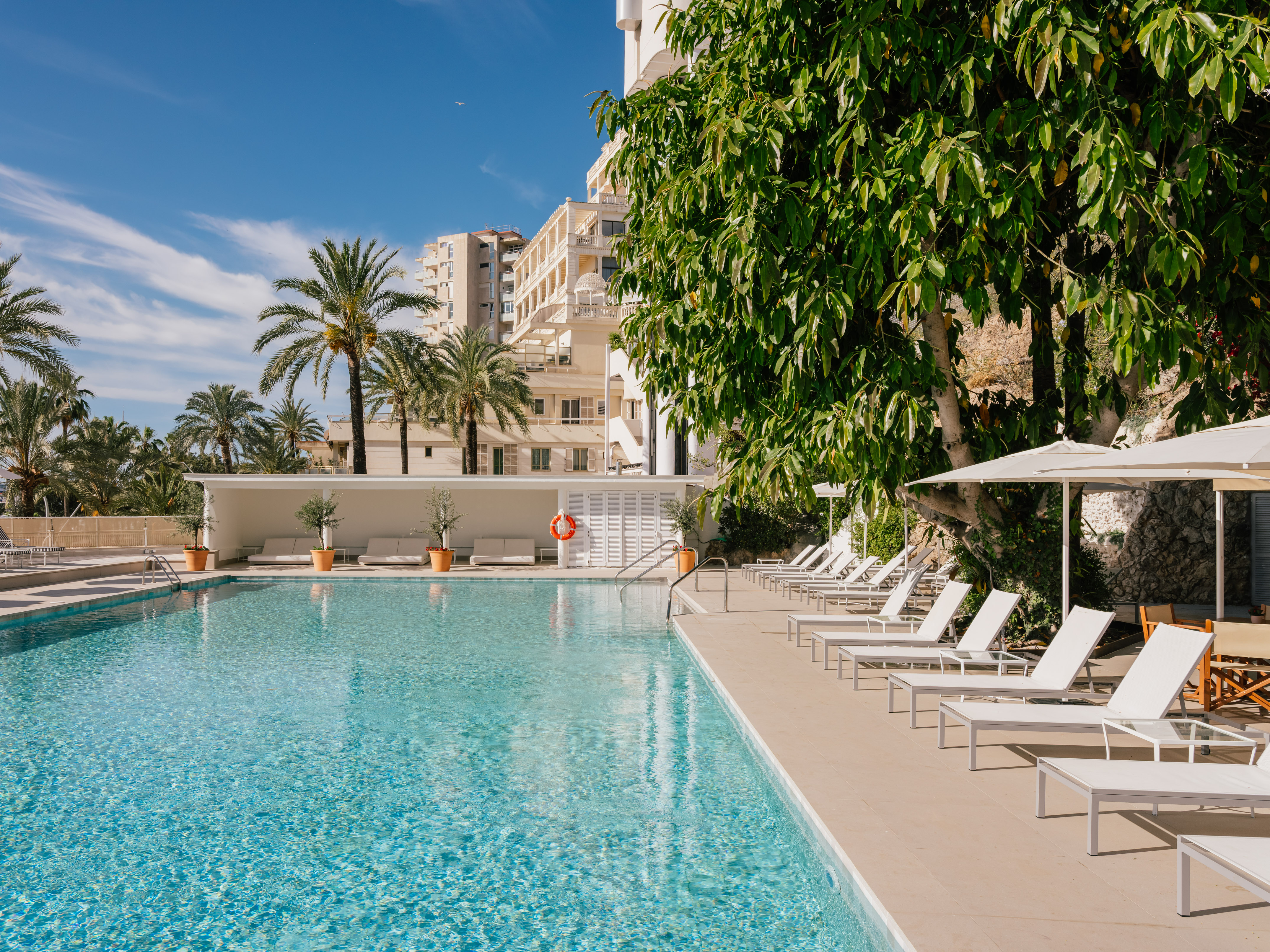 Resort swimming pool with white lounge chairs, palm trees, and hotel building.