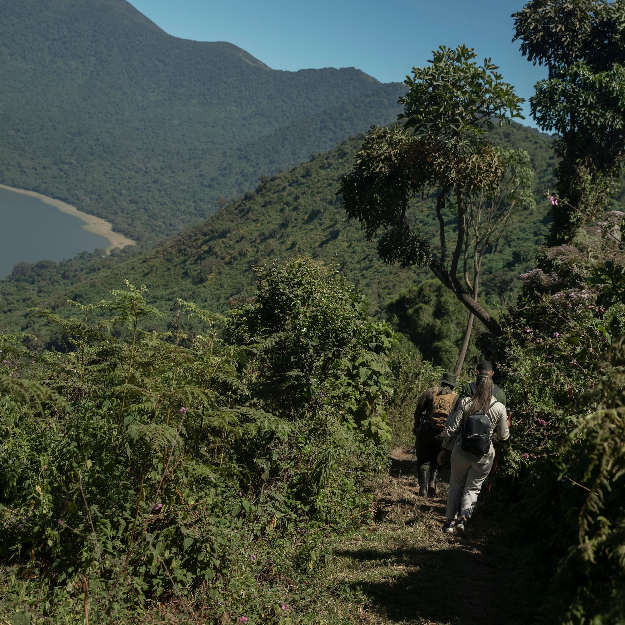 a group of people walking on a trail with trees and mountains