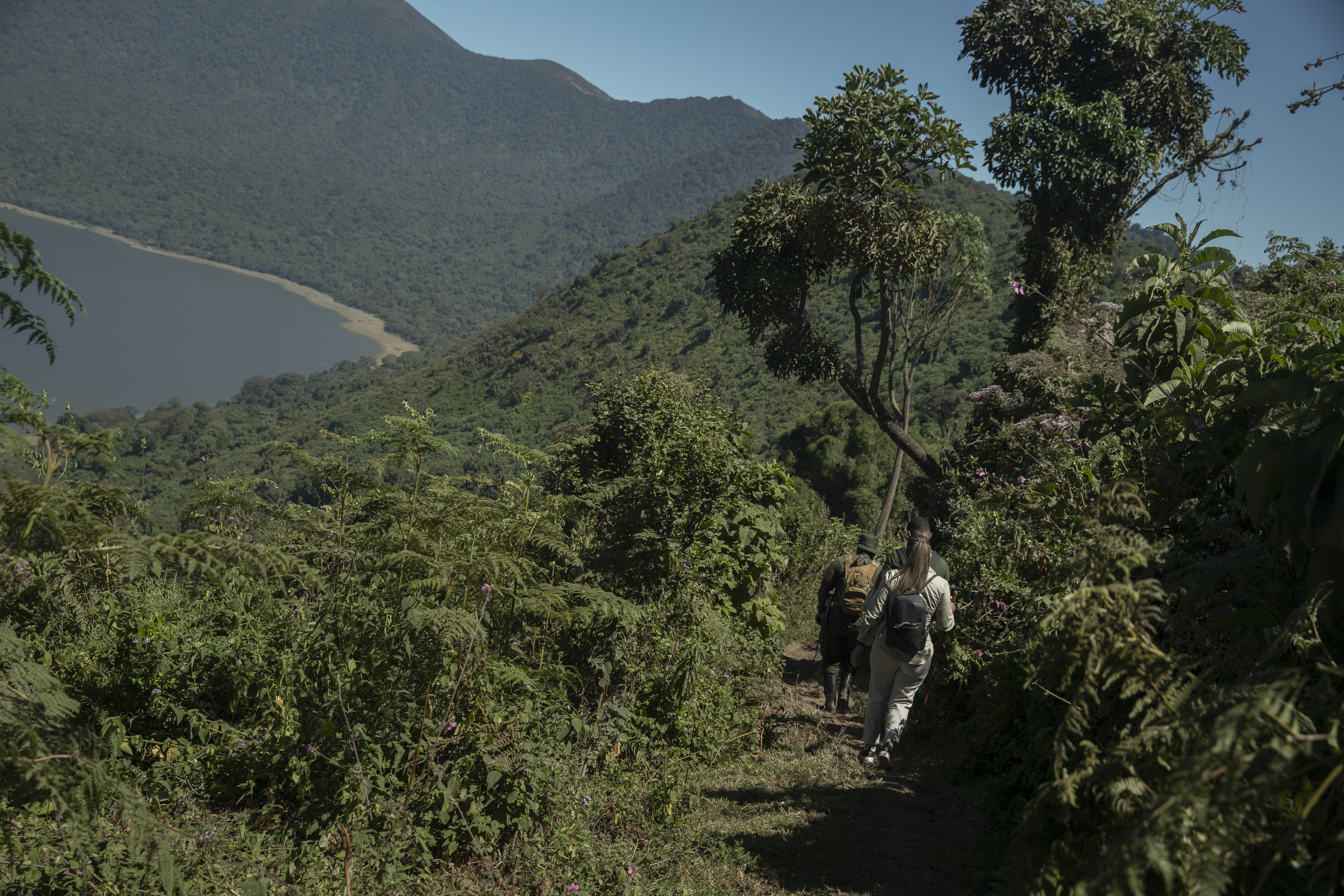 a group of people walking on a trail with trees and mountains