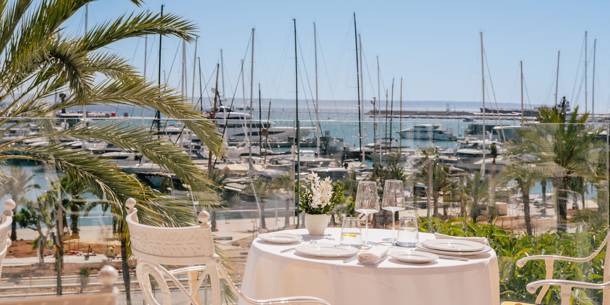 a table set up with a palm tree and a palm tree and a marina