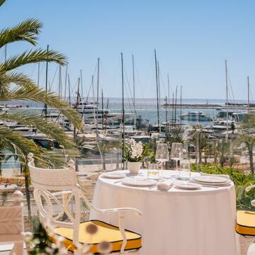 a table set up with a palm tree and a palm tree and a marina