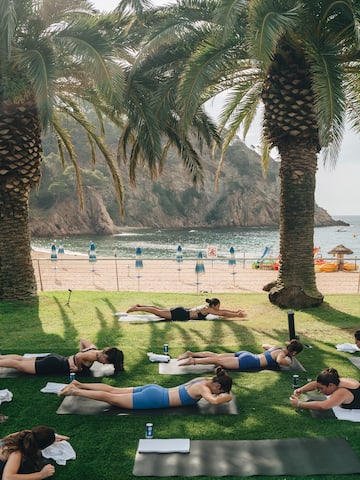 a group of people lying on mats on grass next to palm trees