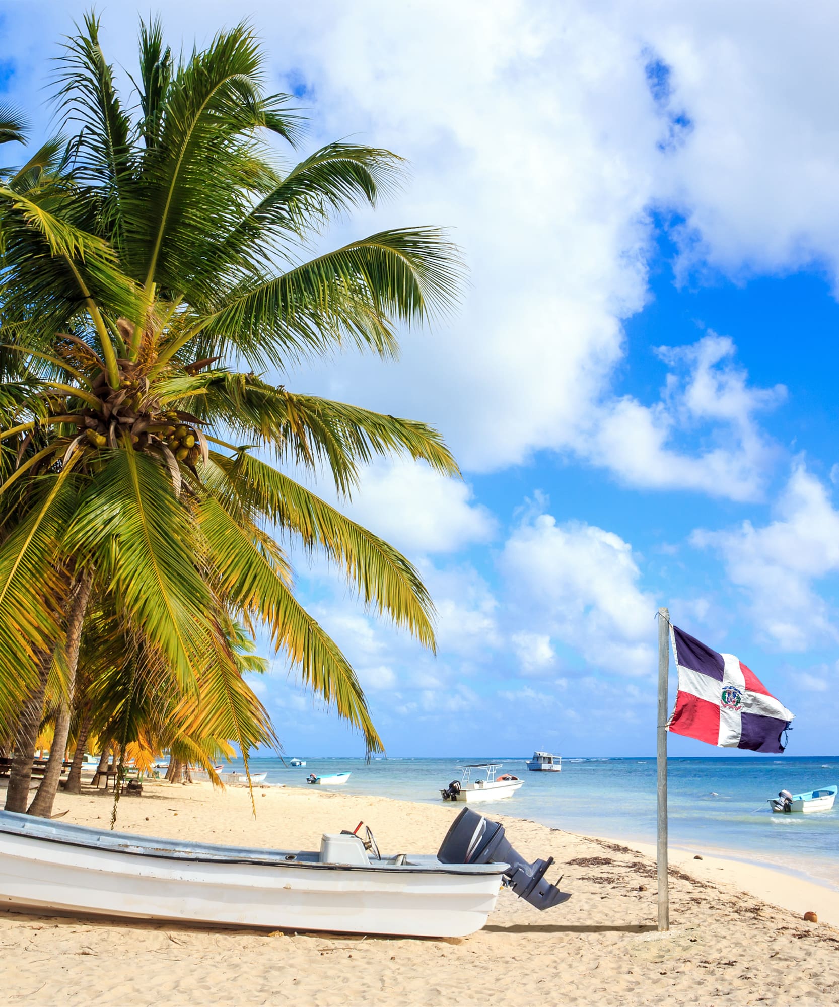 Bandera dominicana en playa tropical con palmeras, bote en la arena y mar azul.