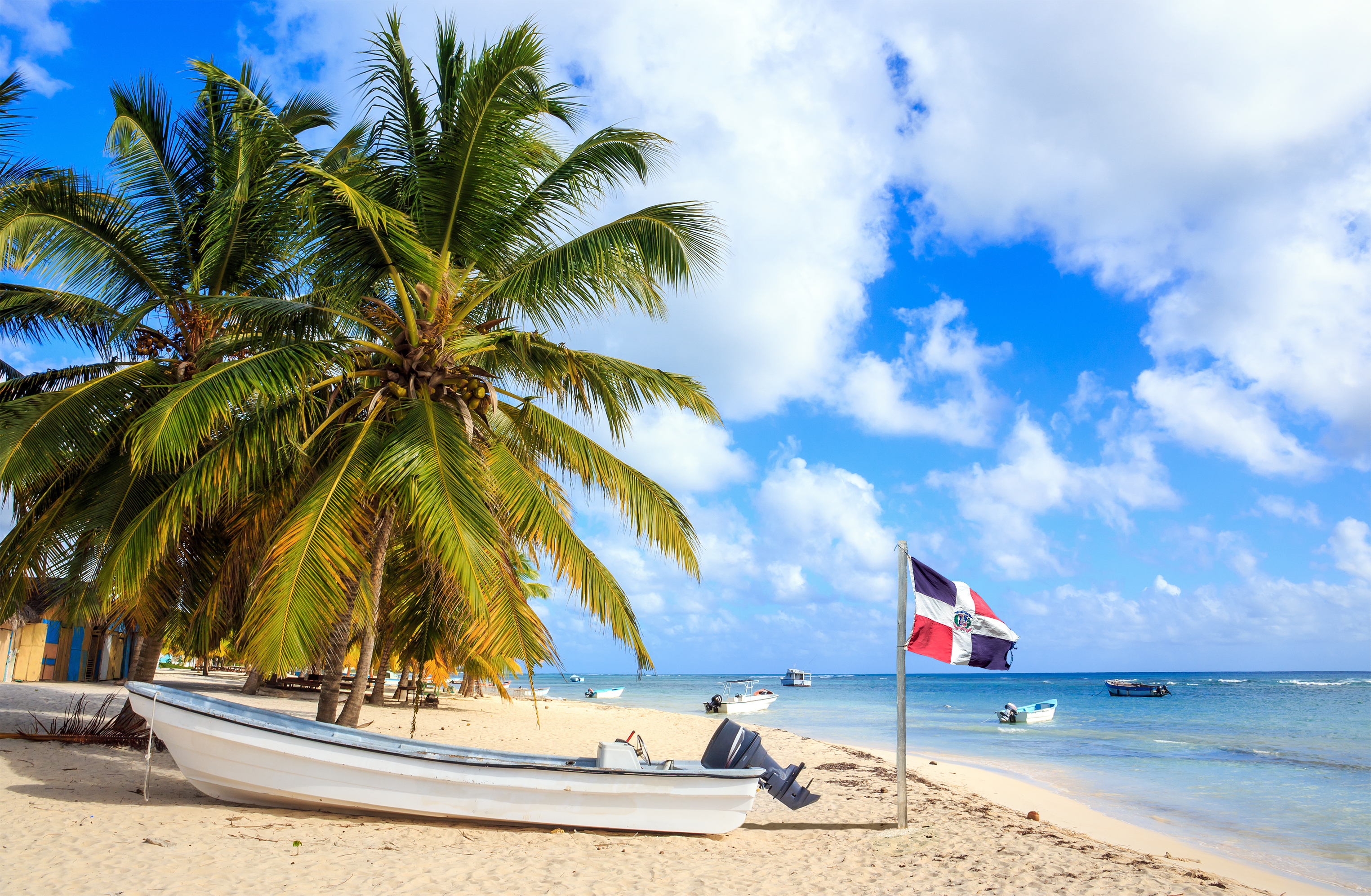 Playa caribeña con palmeras, barca blanca y bandera dominicana.