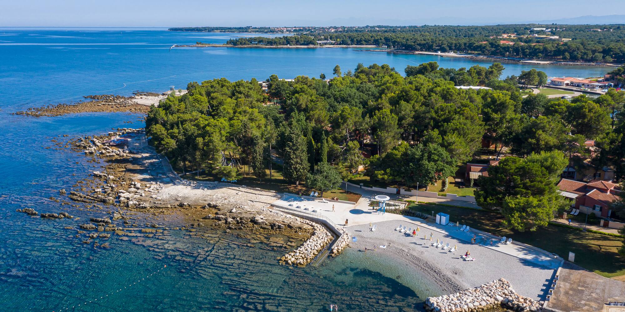 a beach with trees and water