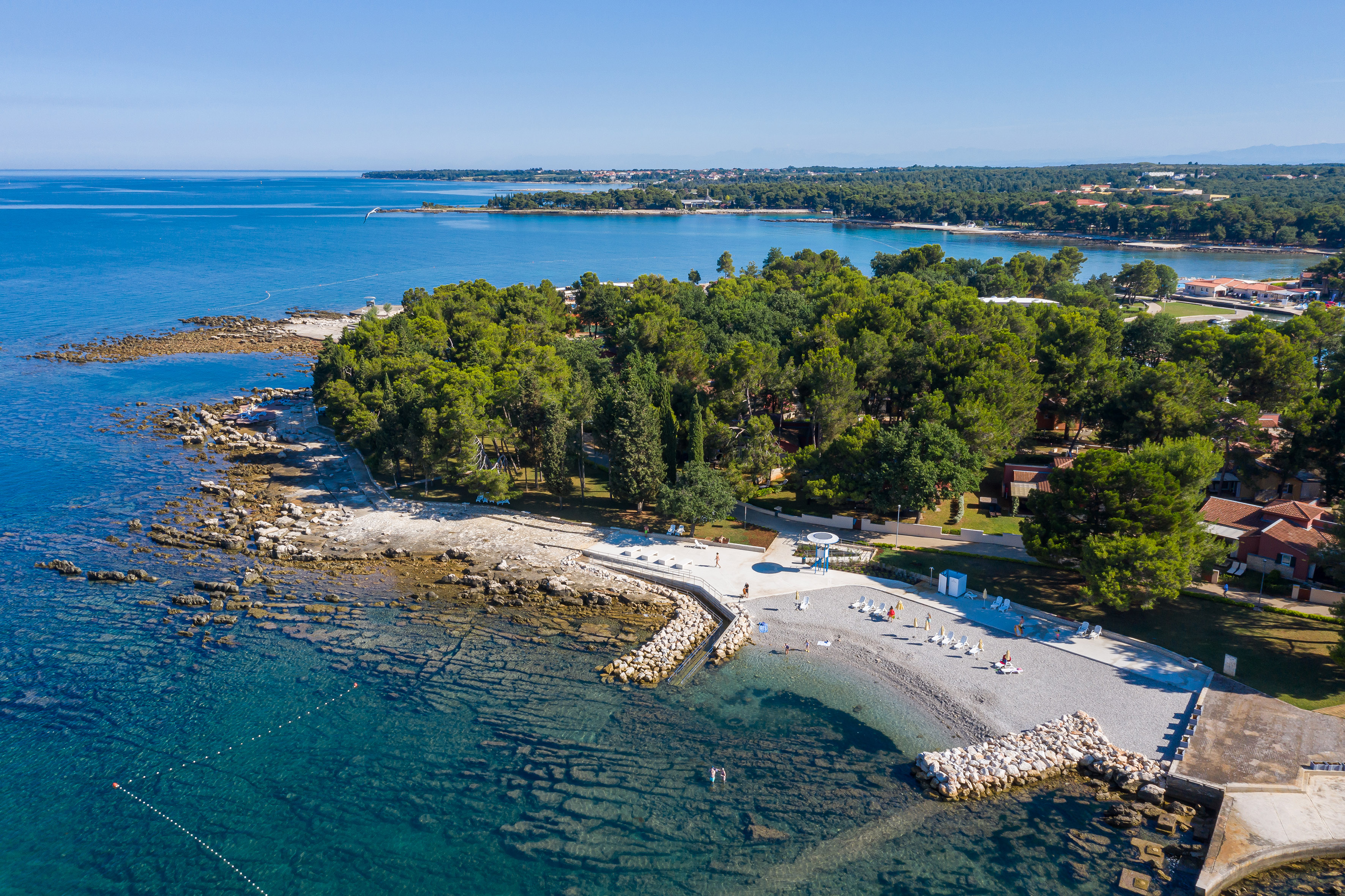 a beach with trees and water