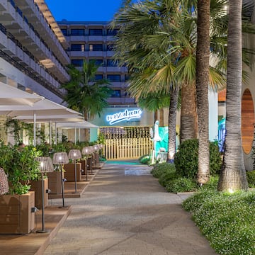 a walkway with palm trees and a building
