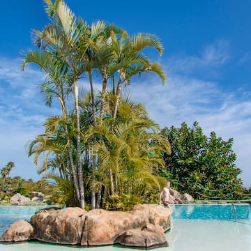 a person standing on a rock in a pool with palm trees