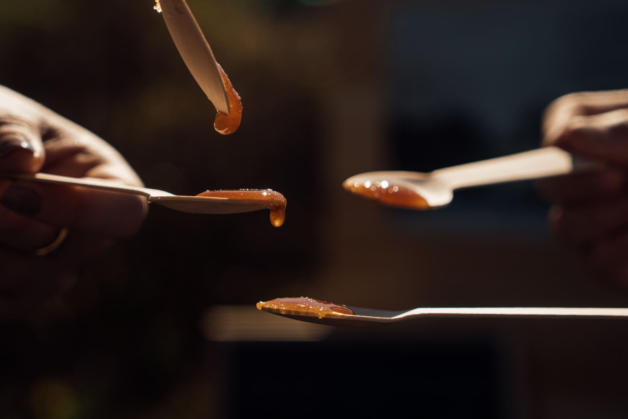 Degustación de jarabe de arce en cucharas de madera, dulce natural.