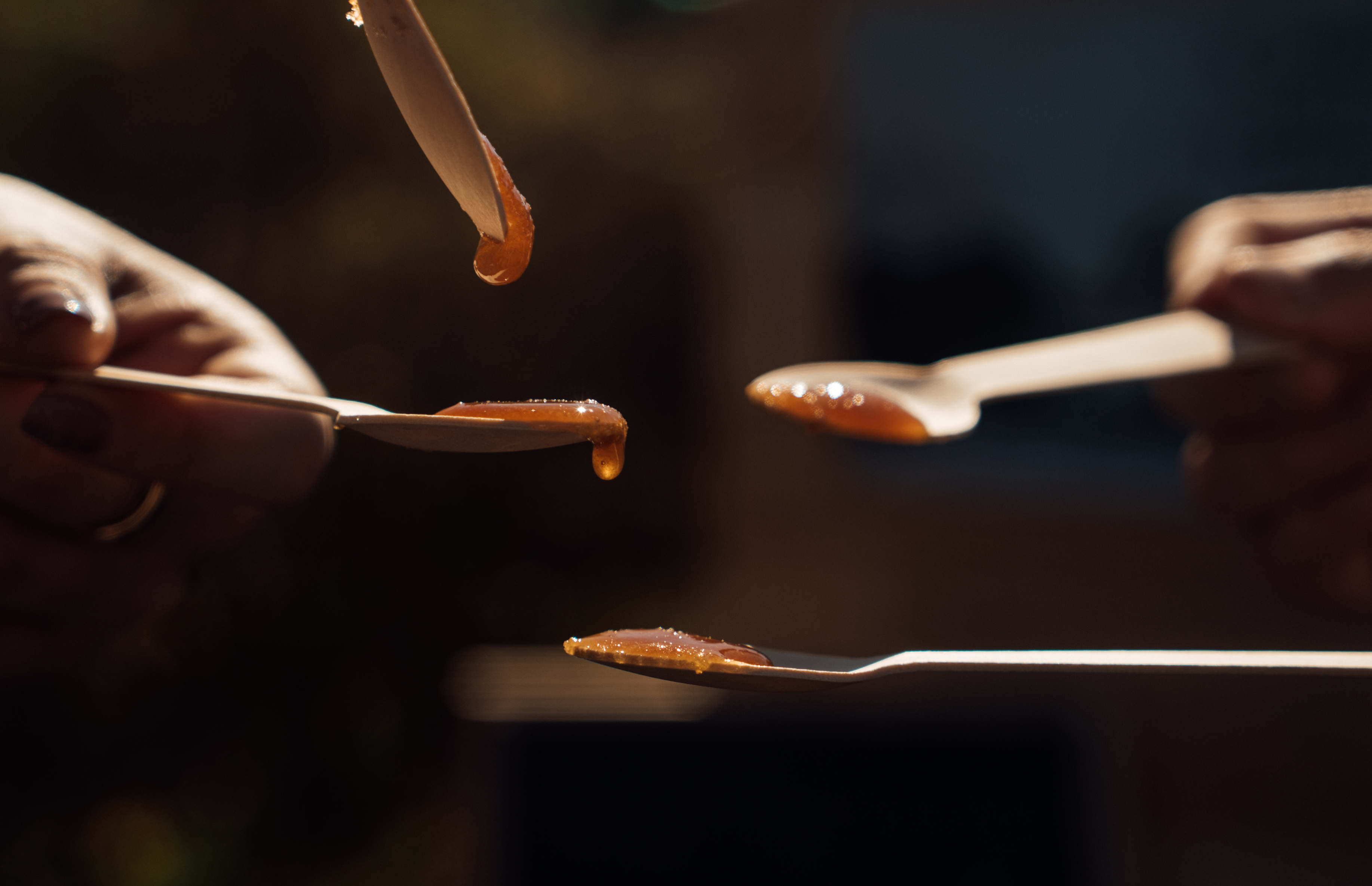 Degustación de jarabe de arce en cucharas de madera, dulce natural.