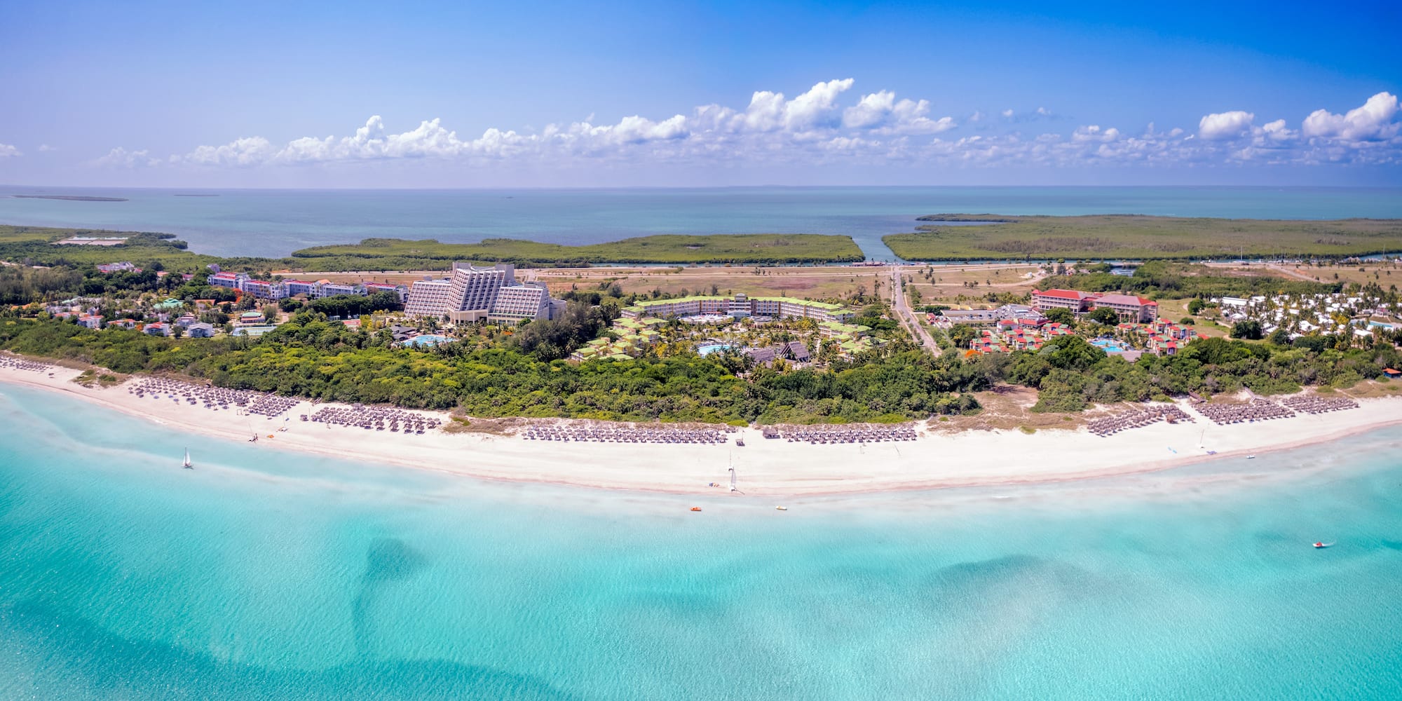 a beach with buildings and trees