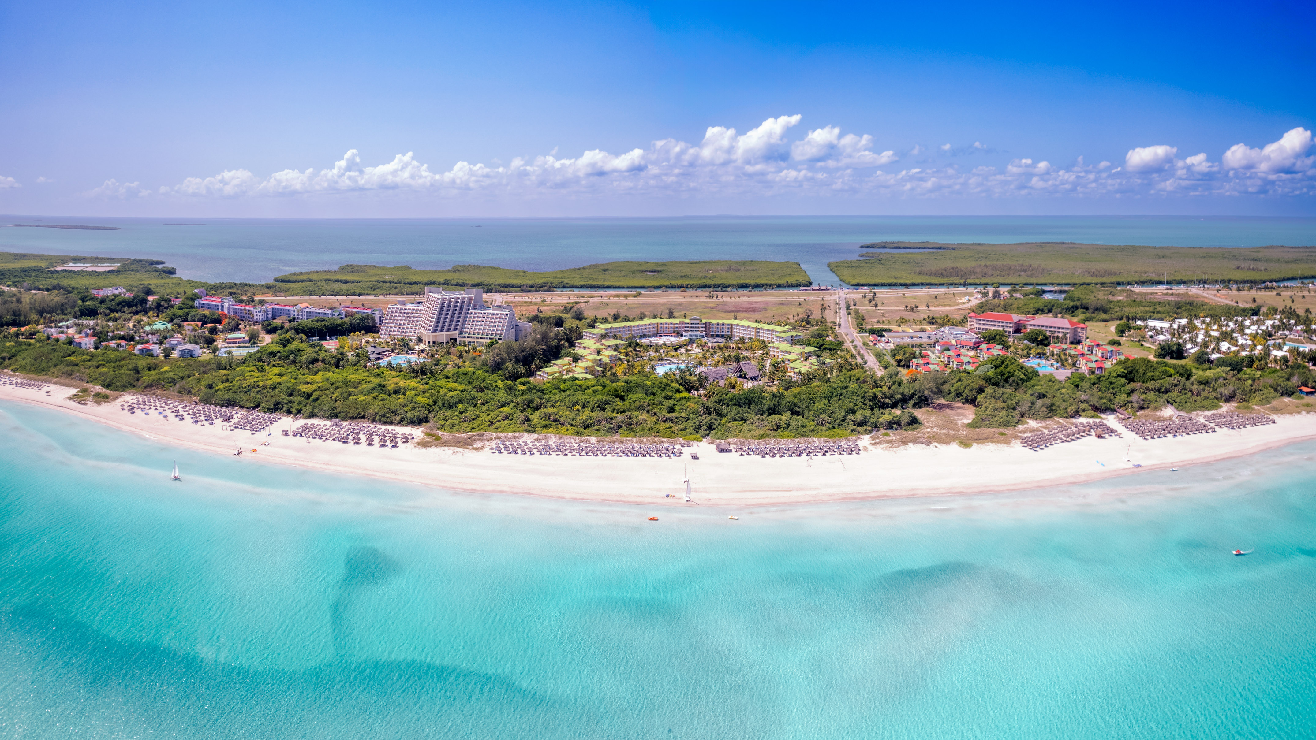 a beach with buildings and trees