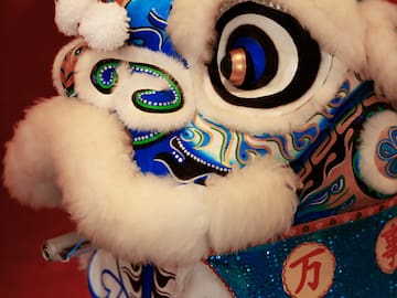 a close up of a lion