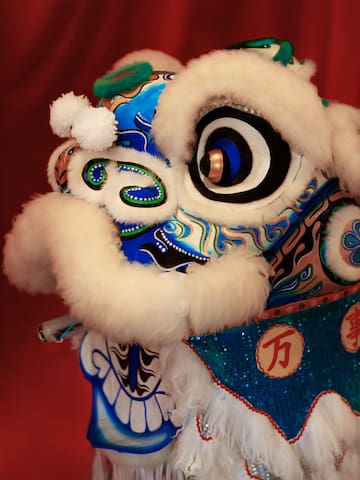 a close up of a lion