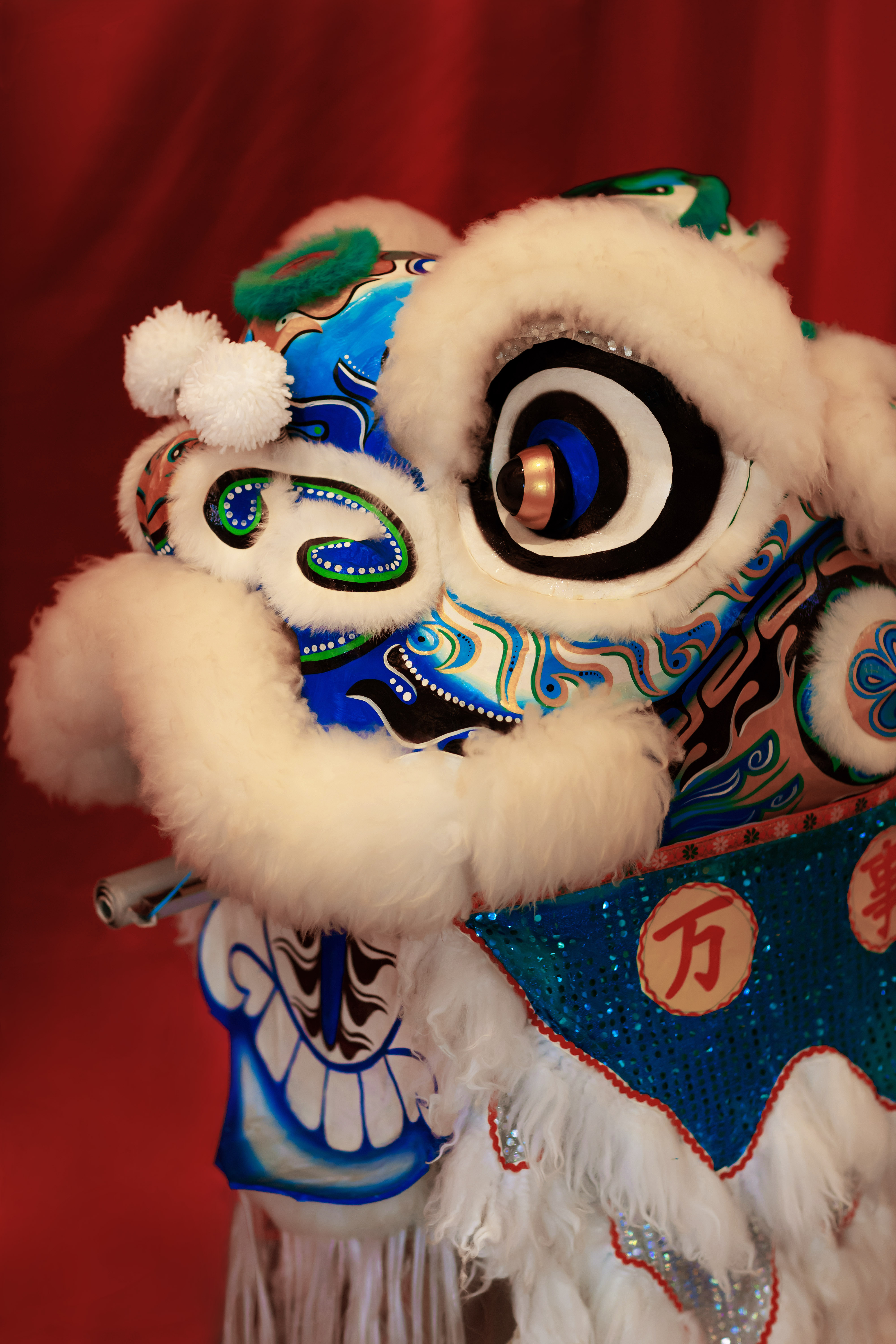 a close up of a lion