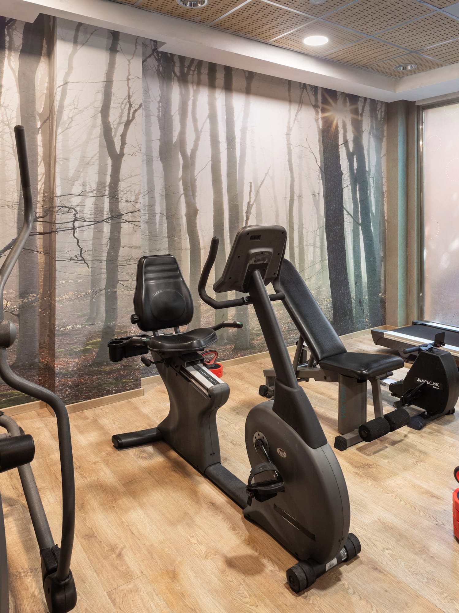 Fitness center with elliptical, exercise bike, treadmill, weights, and forest mural.