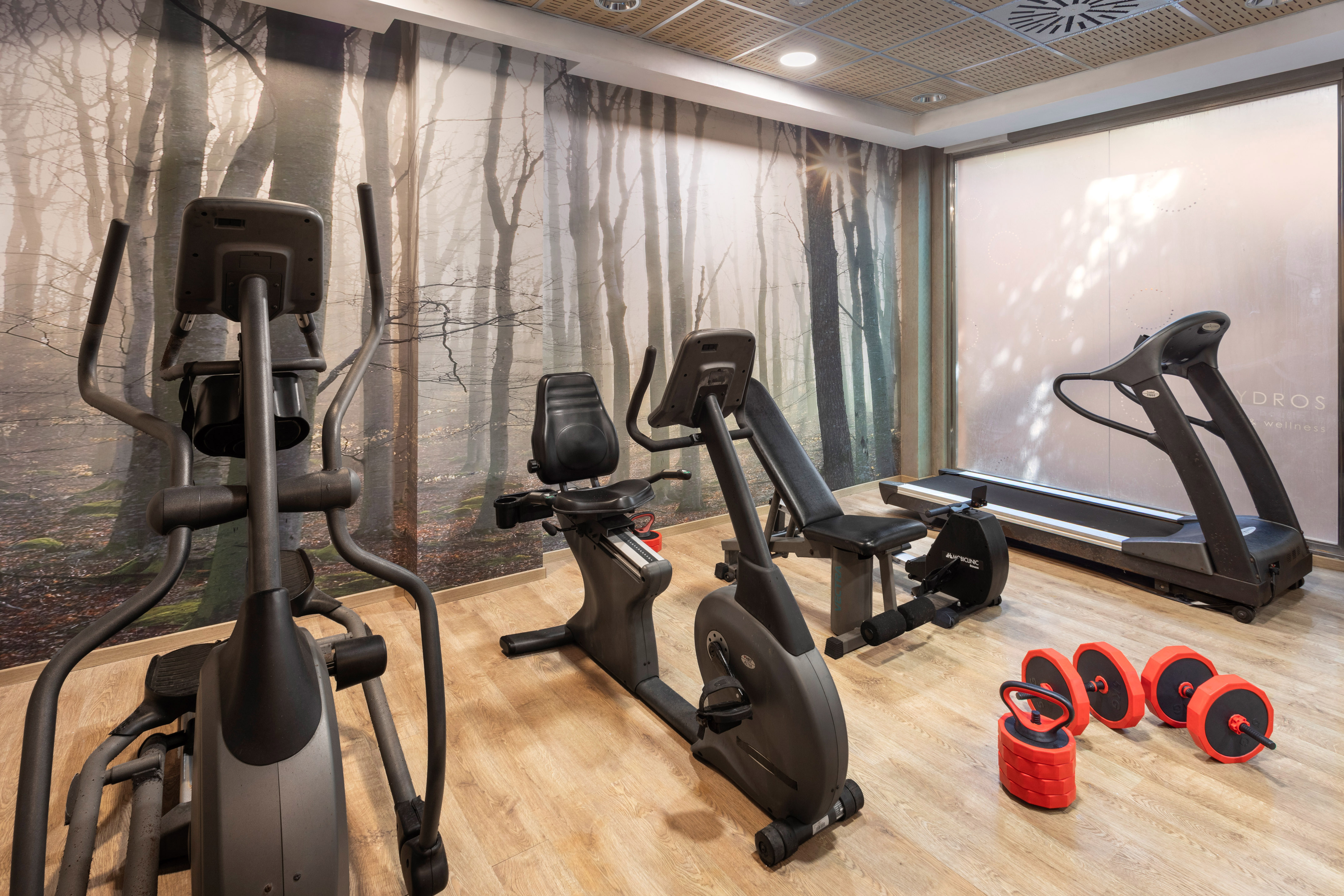 Fitness center with elliptical, exercise bike, treadmill, weights, and forest mural.