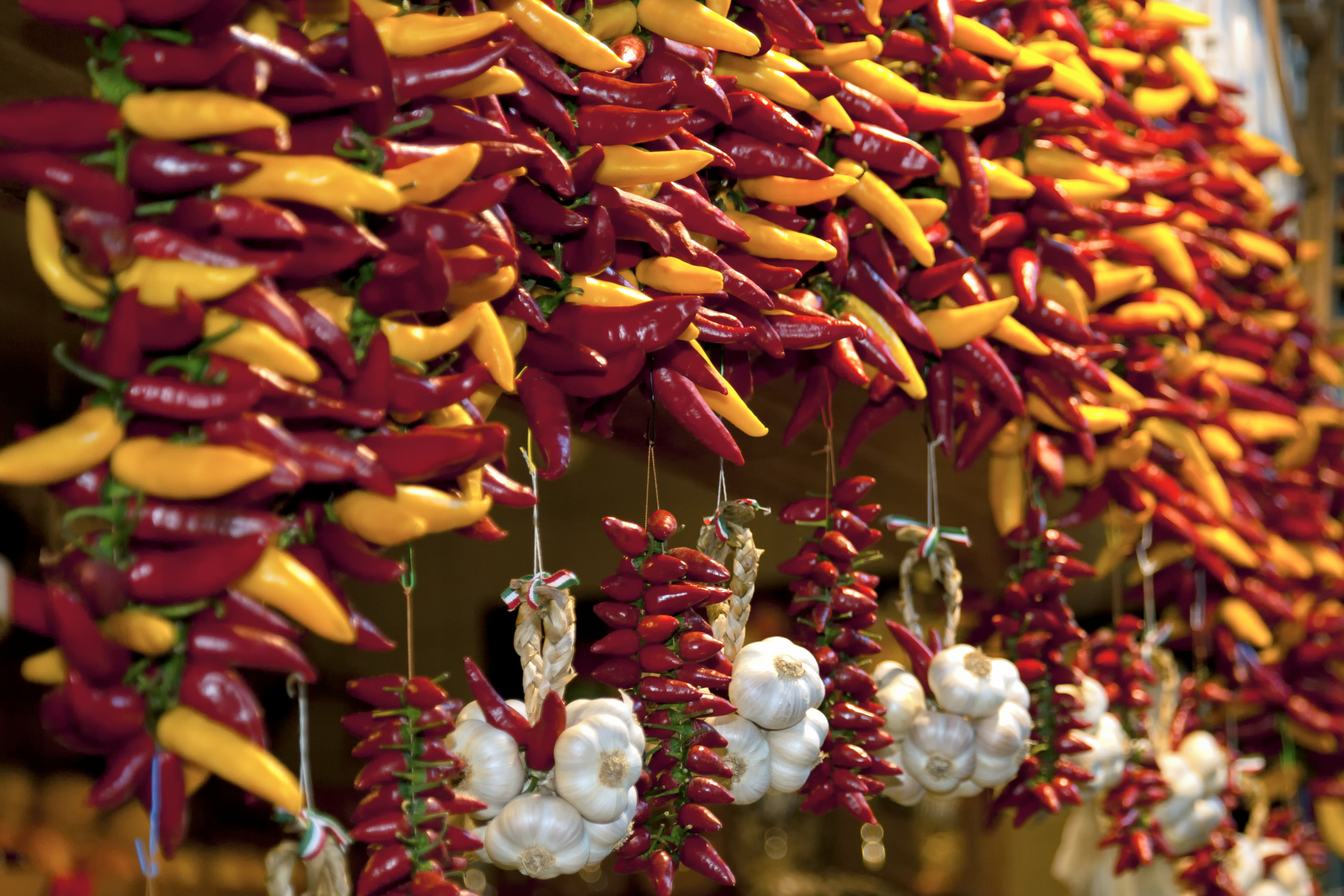 Pimientos rojos y amarillos colgando con ristras de ajo y chiles.