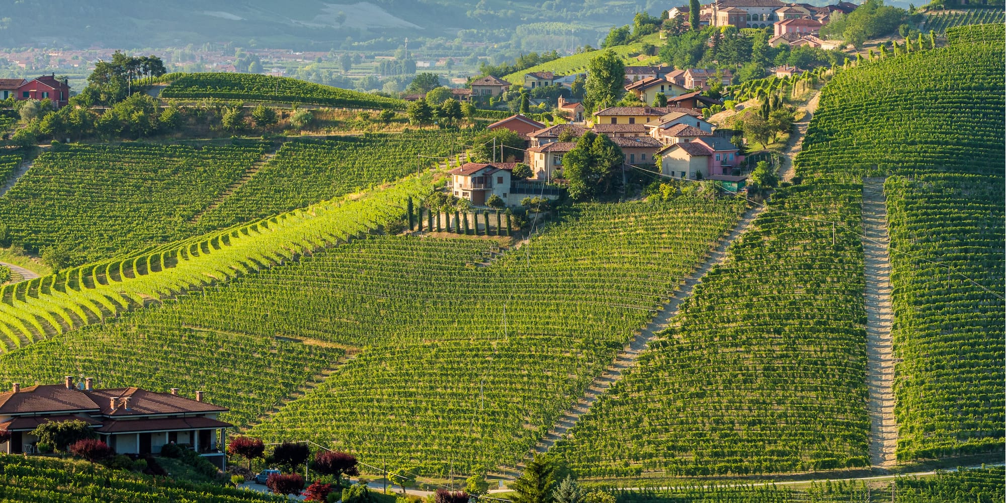 Rolling vineyard hills with a historic village and tower in Langhe, Italy.