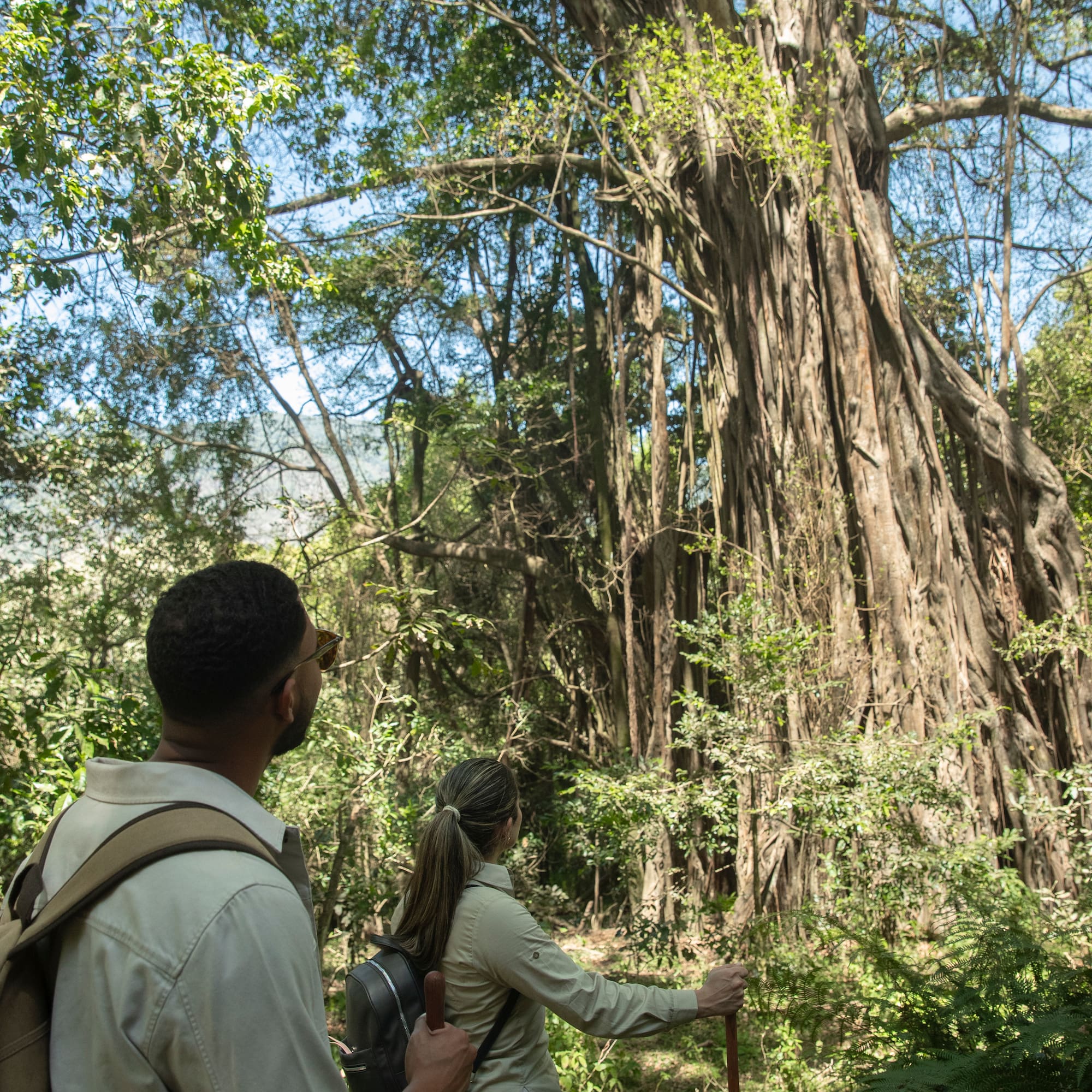 a man and woman hiking in the woods