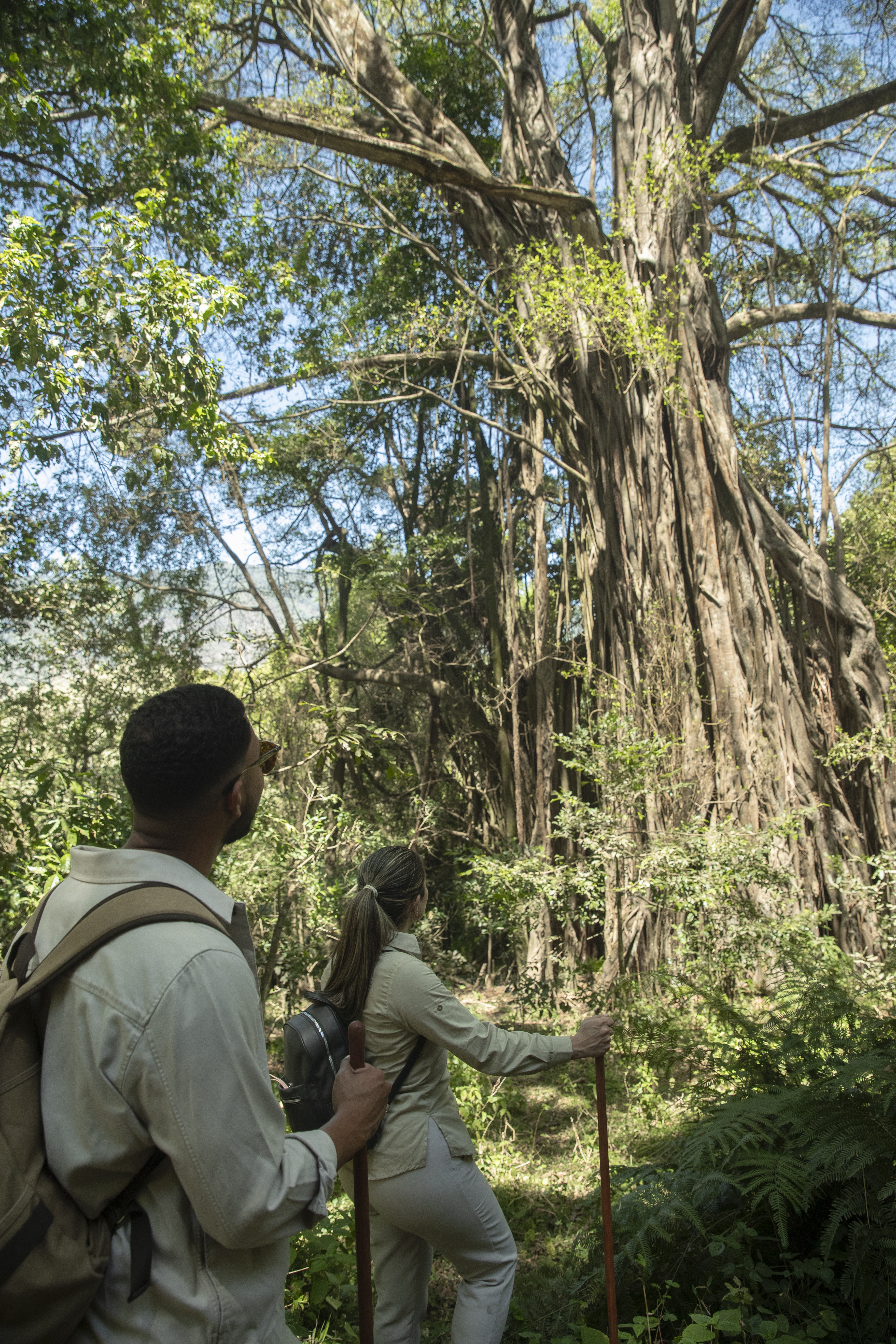 a man and woman hiking in the woods