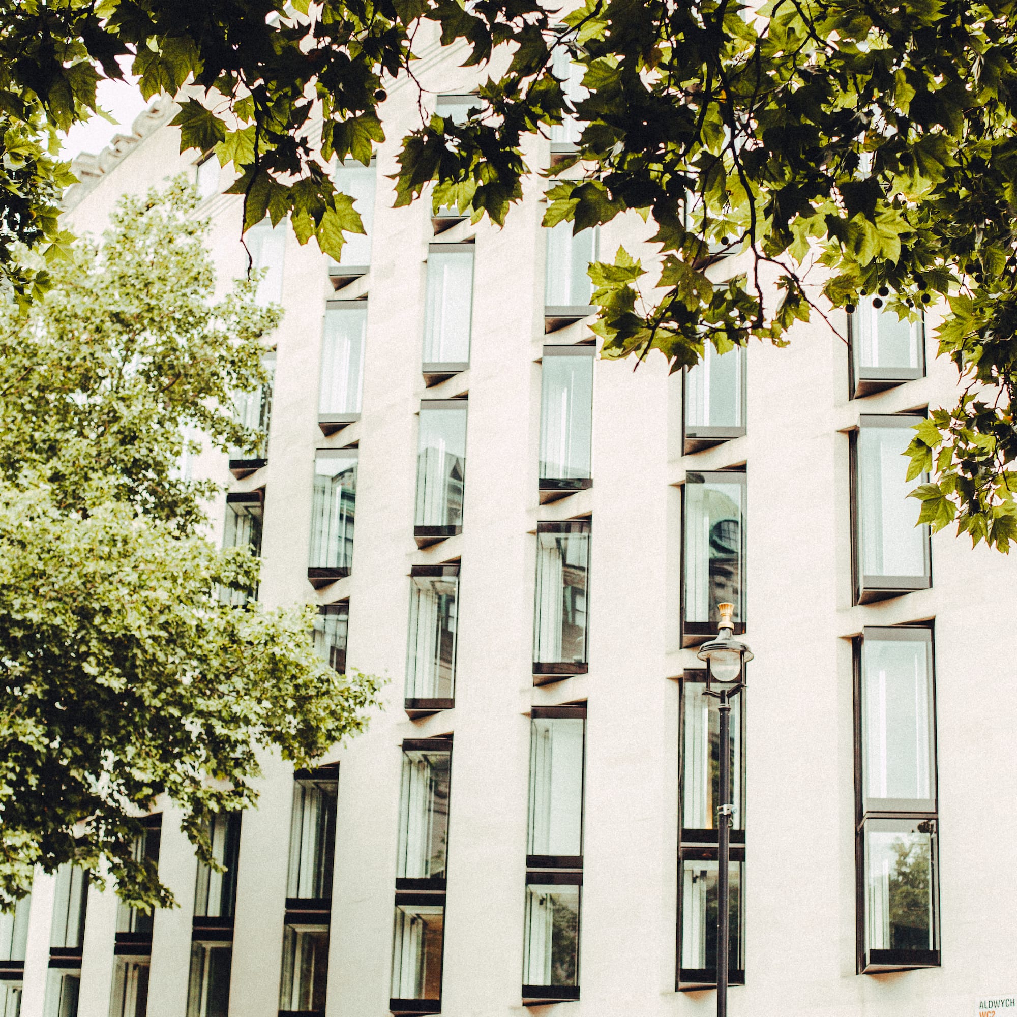 a building with many windows