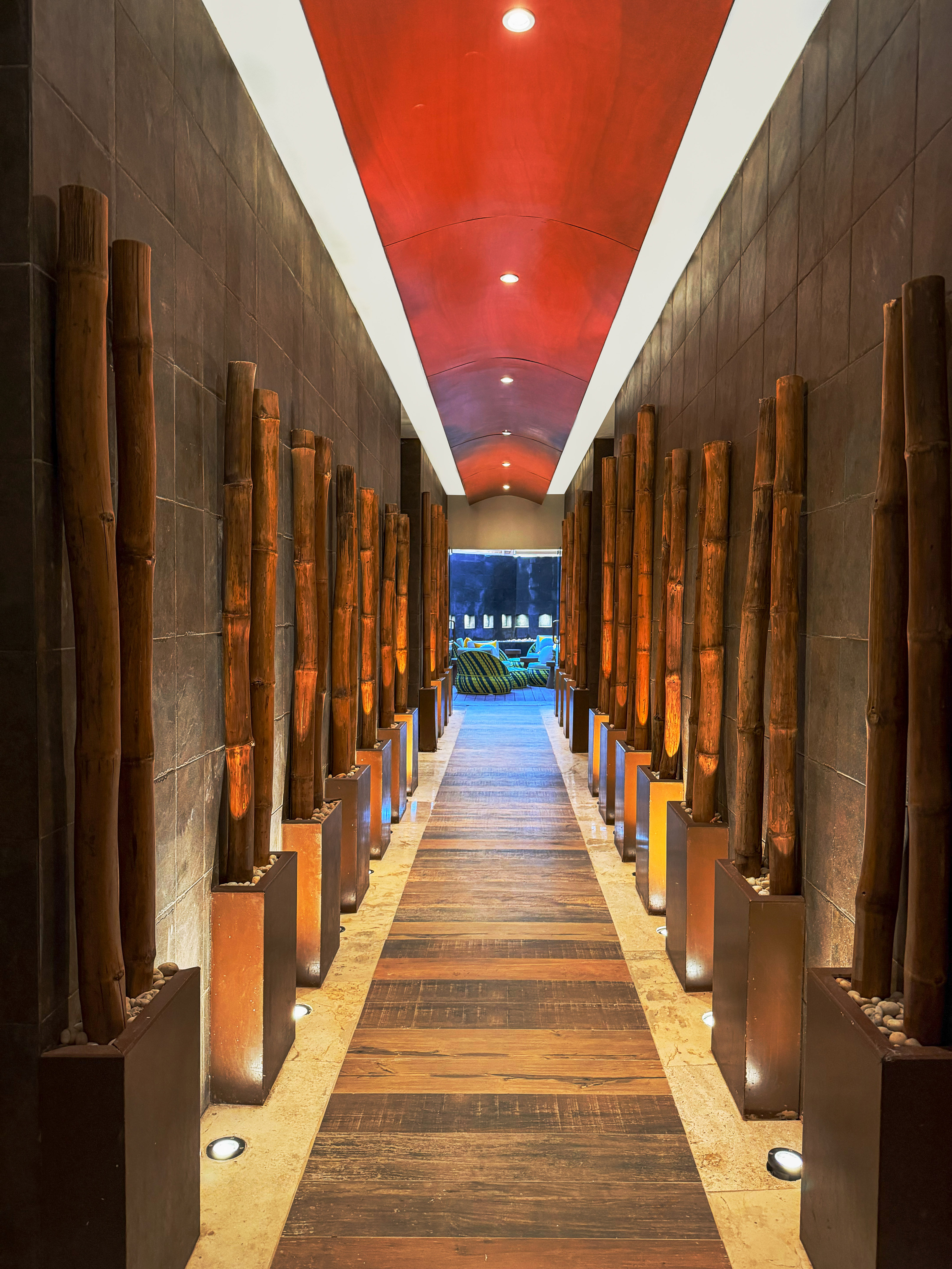 Hallway with bamboo planters, red vaulted ceiling, wood floor, leading to a lounge.
