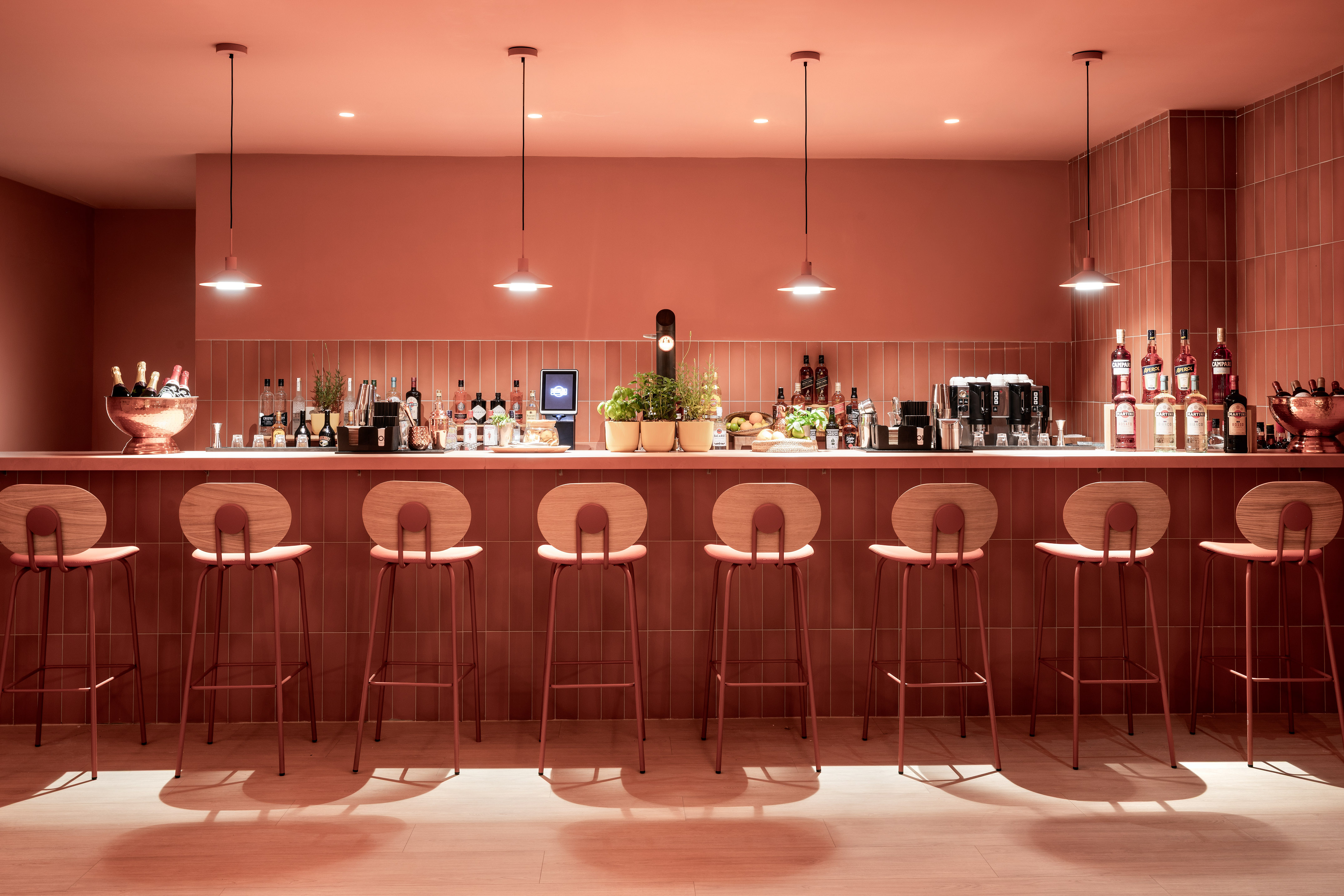 Modern coral bar interior with liquor bottles, plants, and wood bar stools.