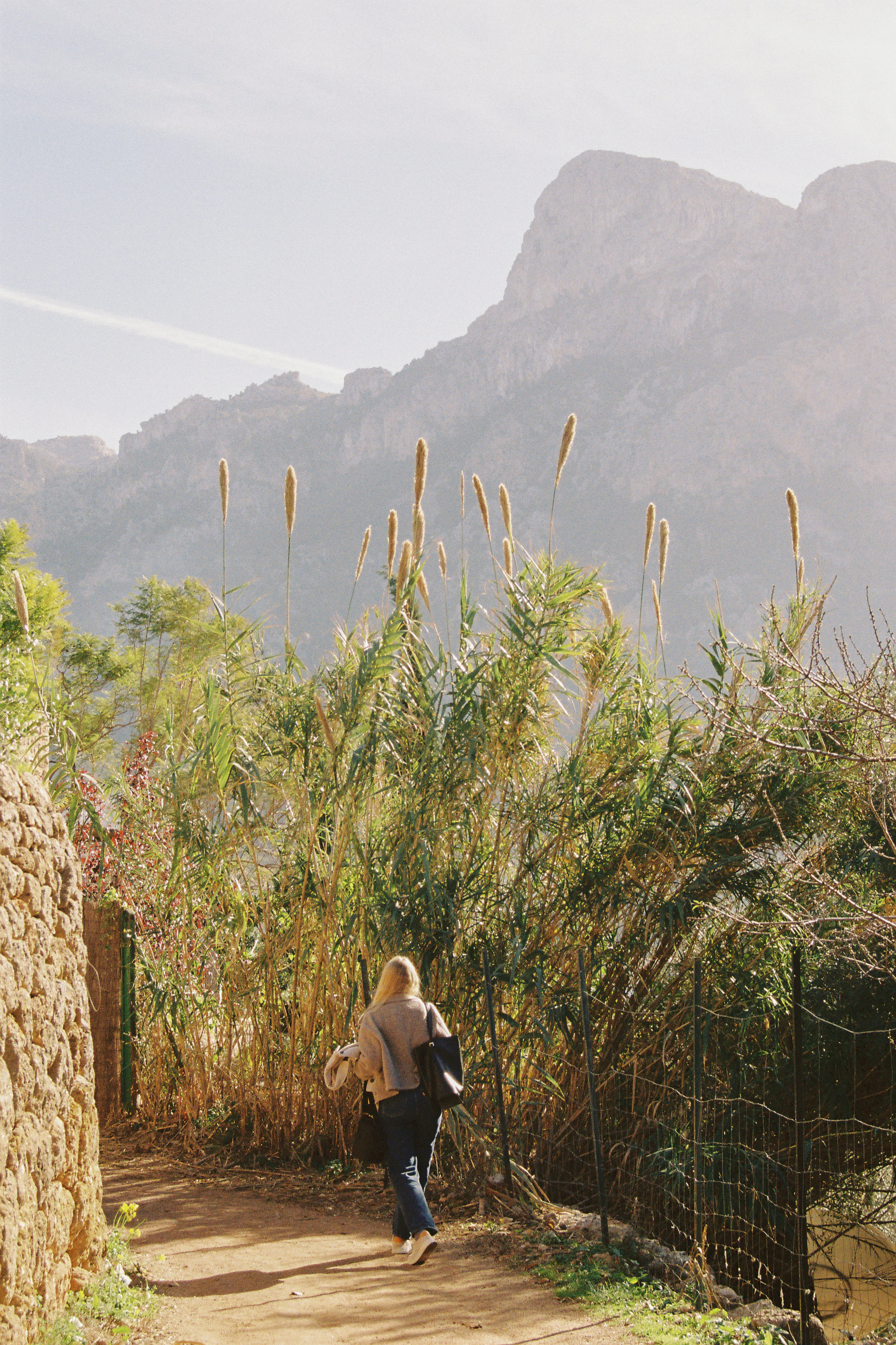 Blonde woman walking dirt path lined with tall reeds toward distant mountains.