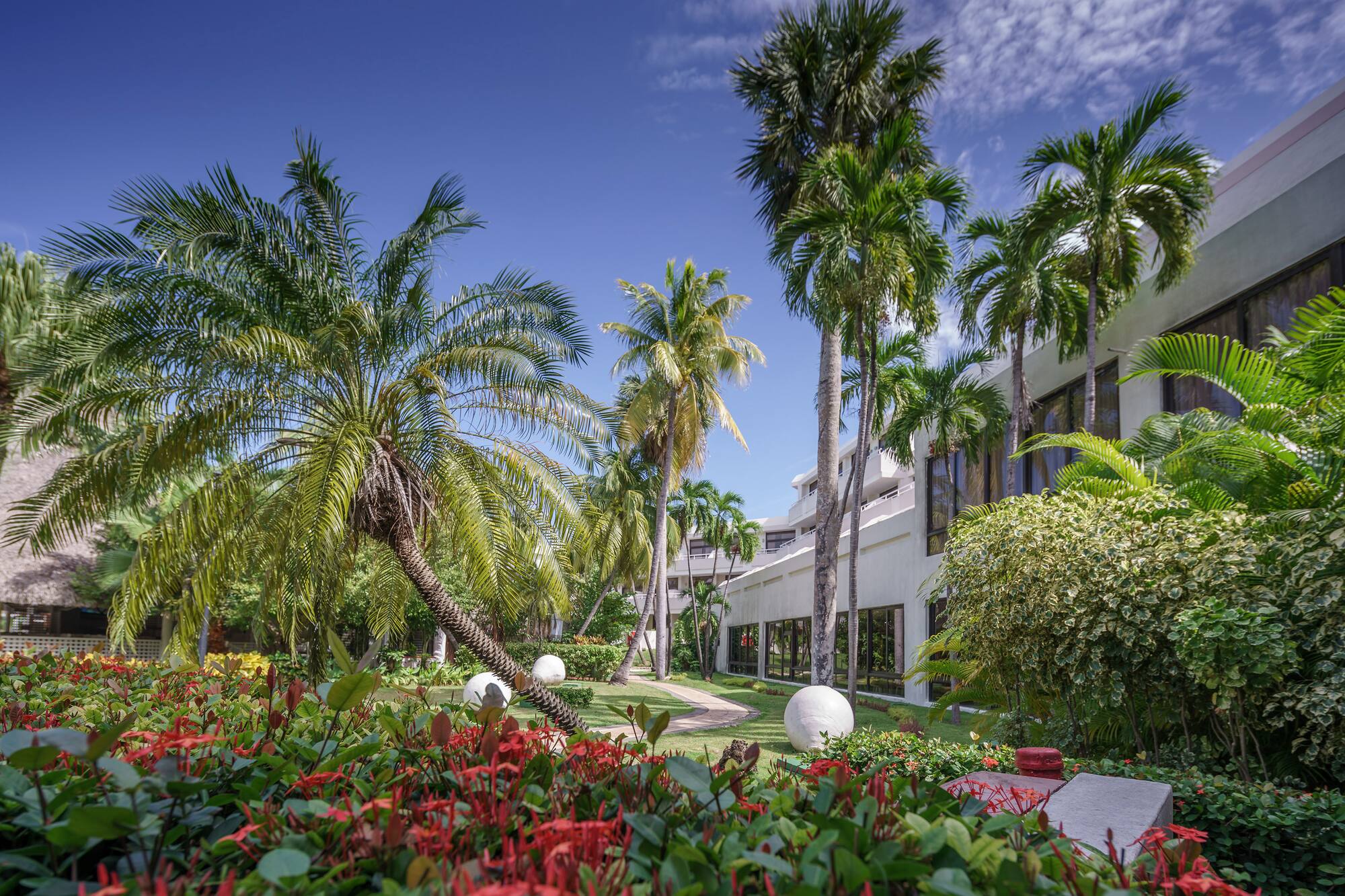 a palm trees and a building