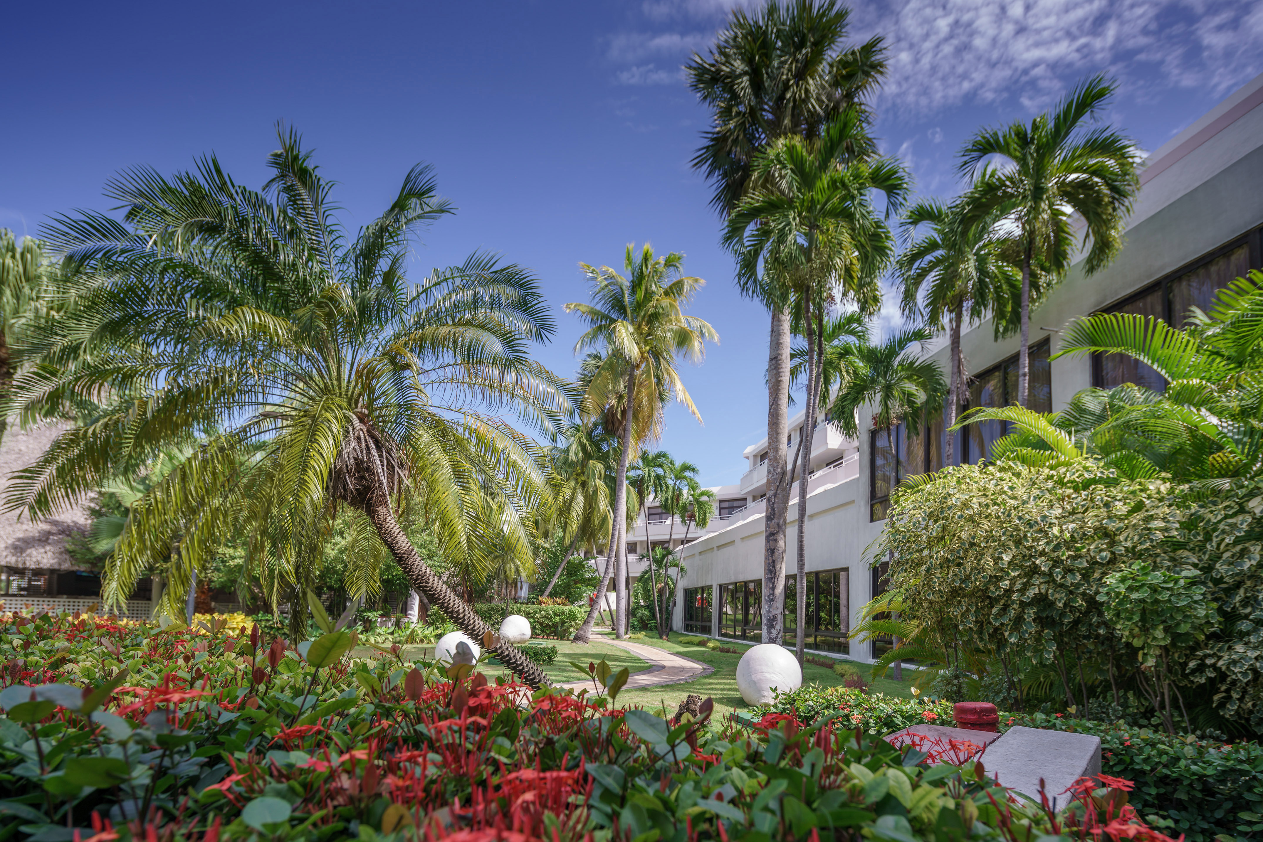 a palm trees and a building