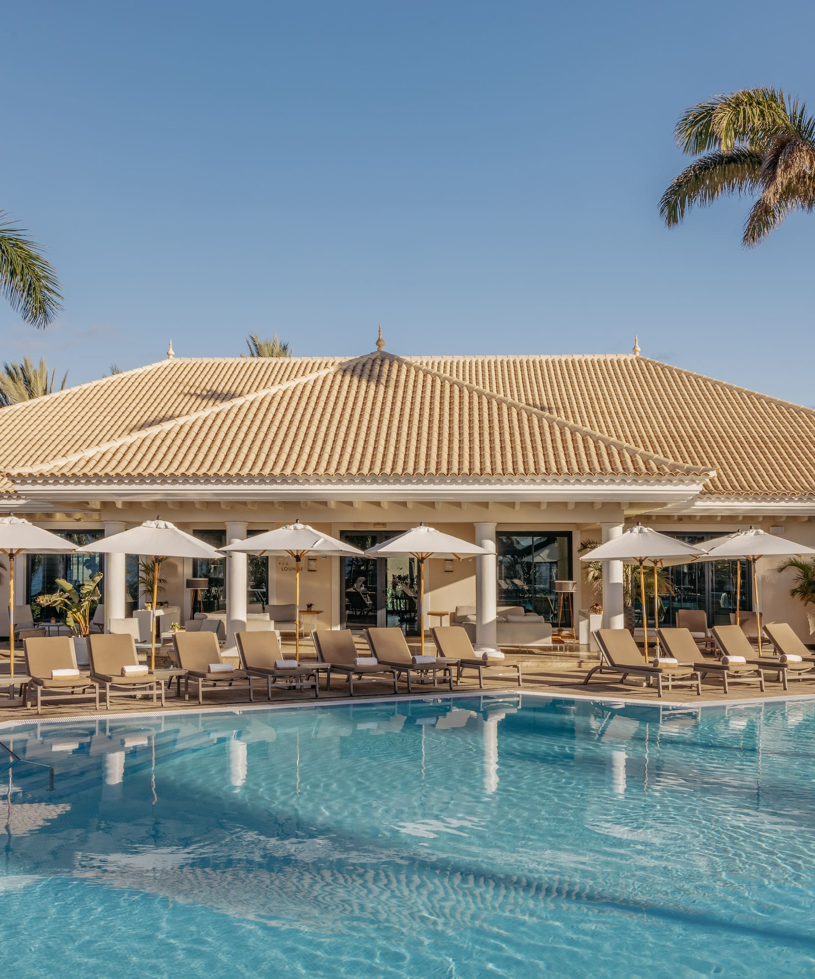 a pool with lounge chairs and palm trees