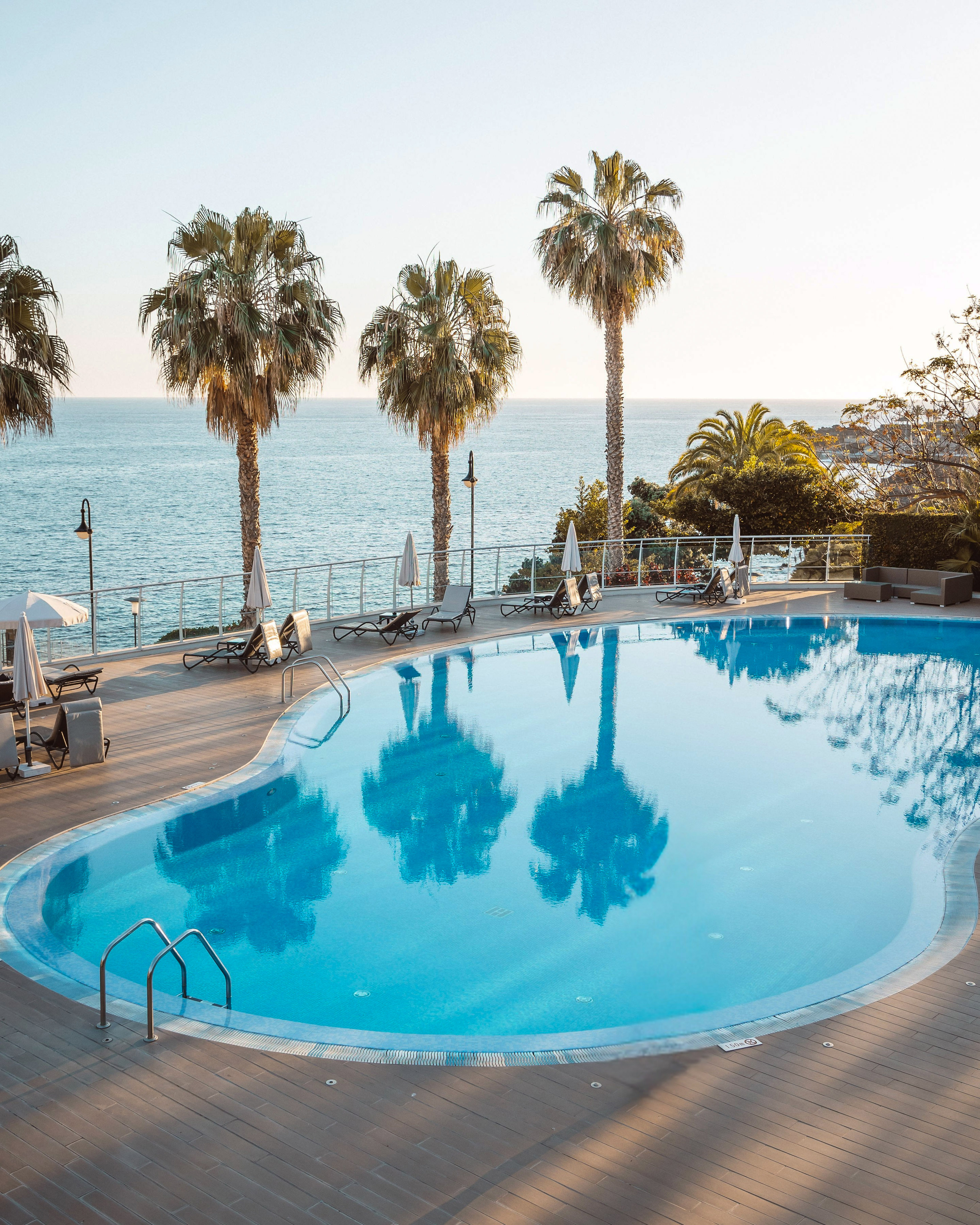 a pool with palm trees and a body of water