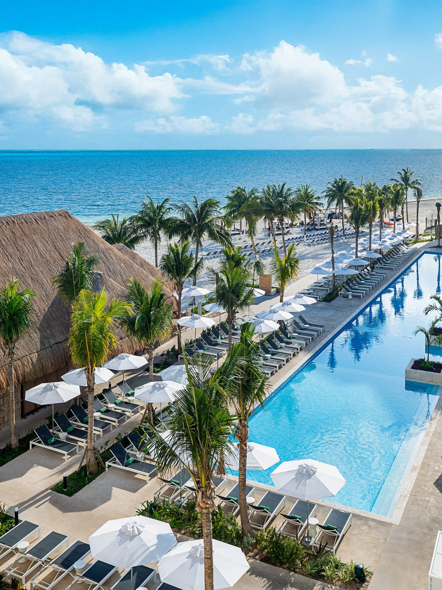 Tropical beachfront resort with large pool, palm trees, and ocean view.
