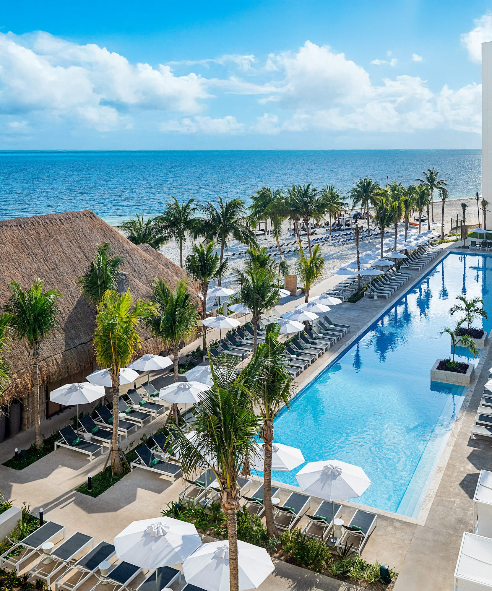Tropical beachfront resort with large pool, palm trees, and ocean view.
