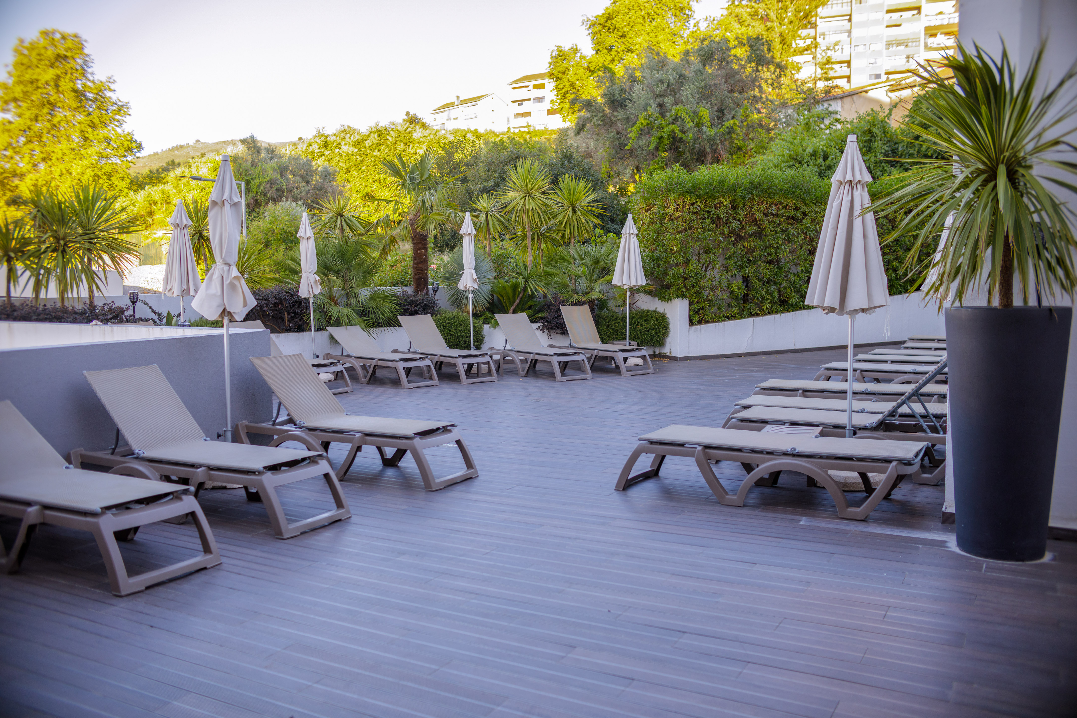 Empty hotel patio with sun loungers, closed umbrellas, and lush palm trees.