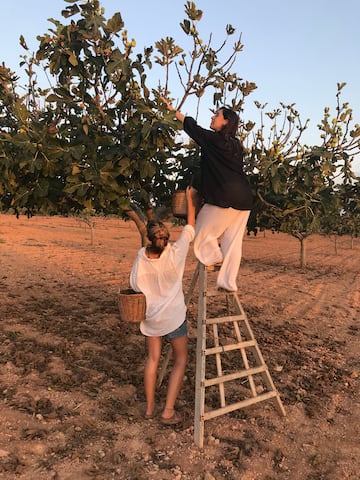 two women on a ladder picking up trees