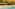 Luxury resort pool with in-pool loungers, umbrellas, and lush tropical trees.