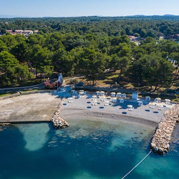 a beach with a rock wall and trees
