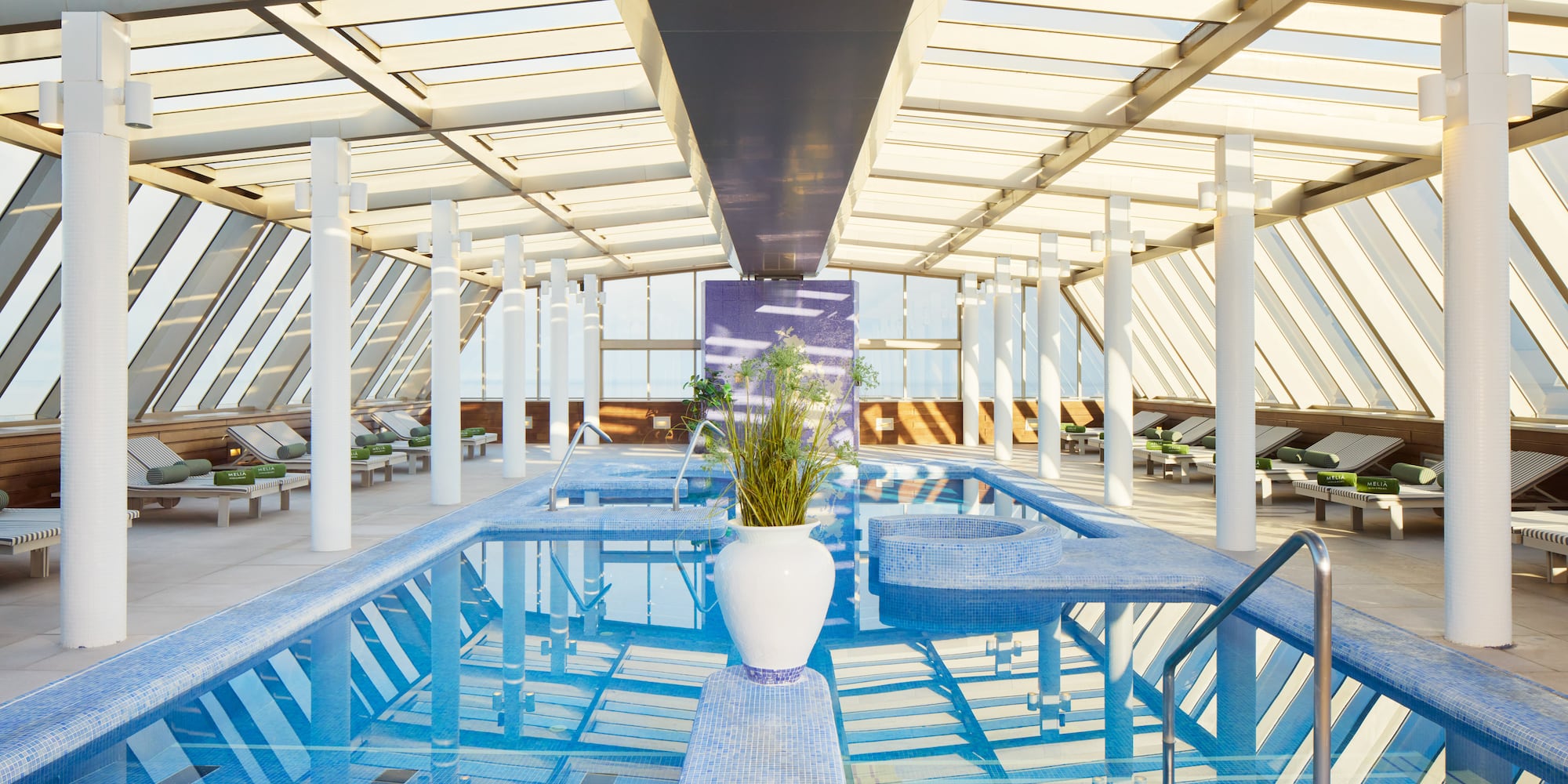 a indoor pool with a plant in it