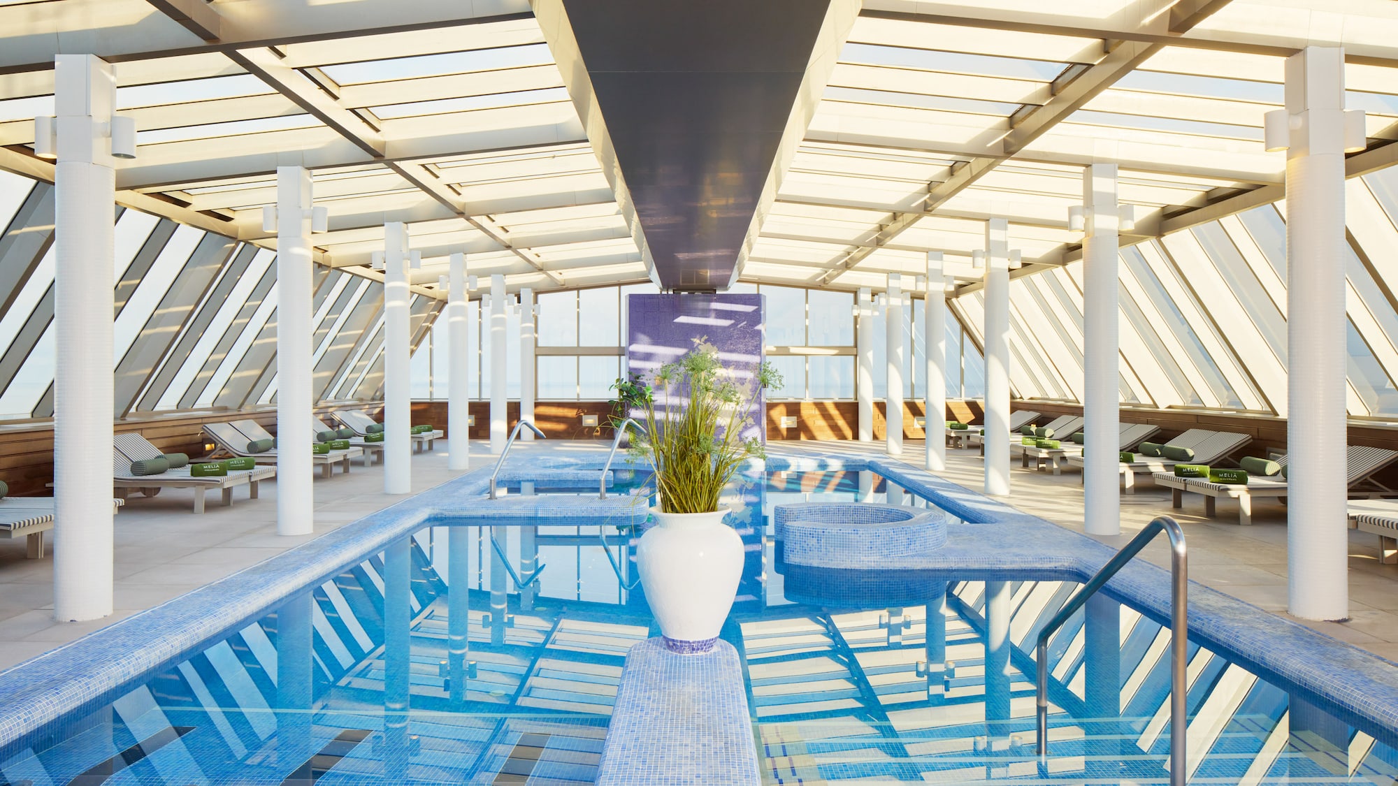 a indoor pool with a plant in it