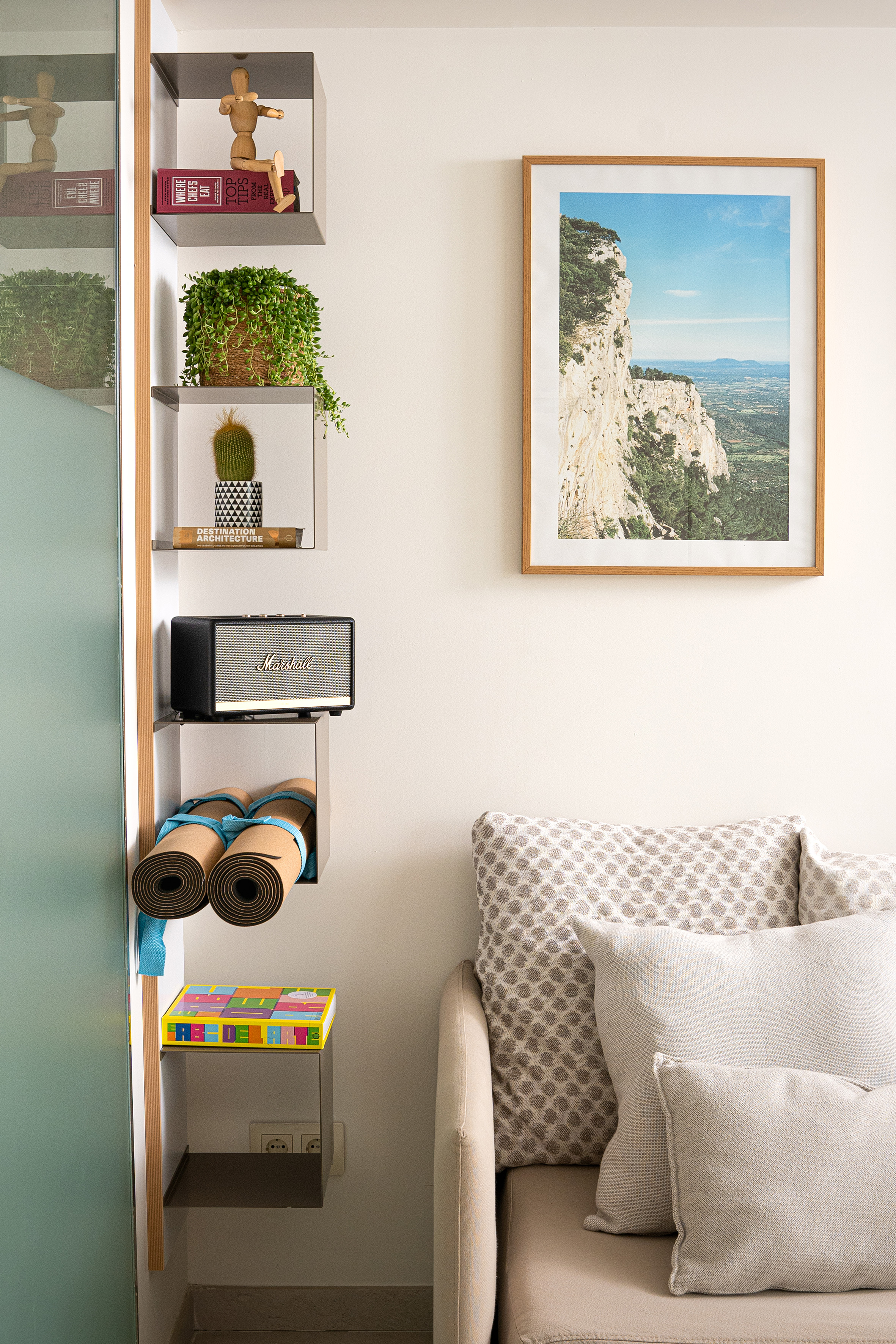 Modern living room shelves with plants, speaker, yoga mats, and cliff art.