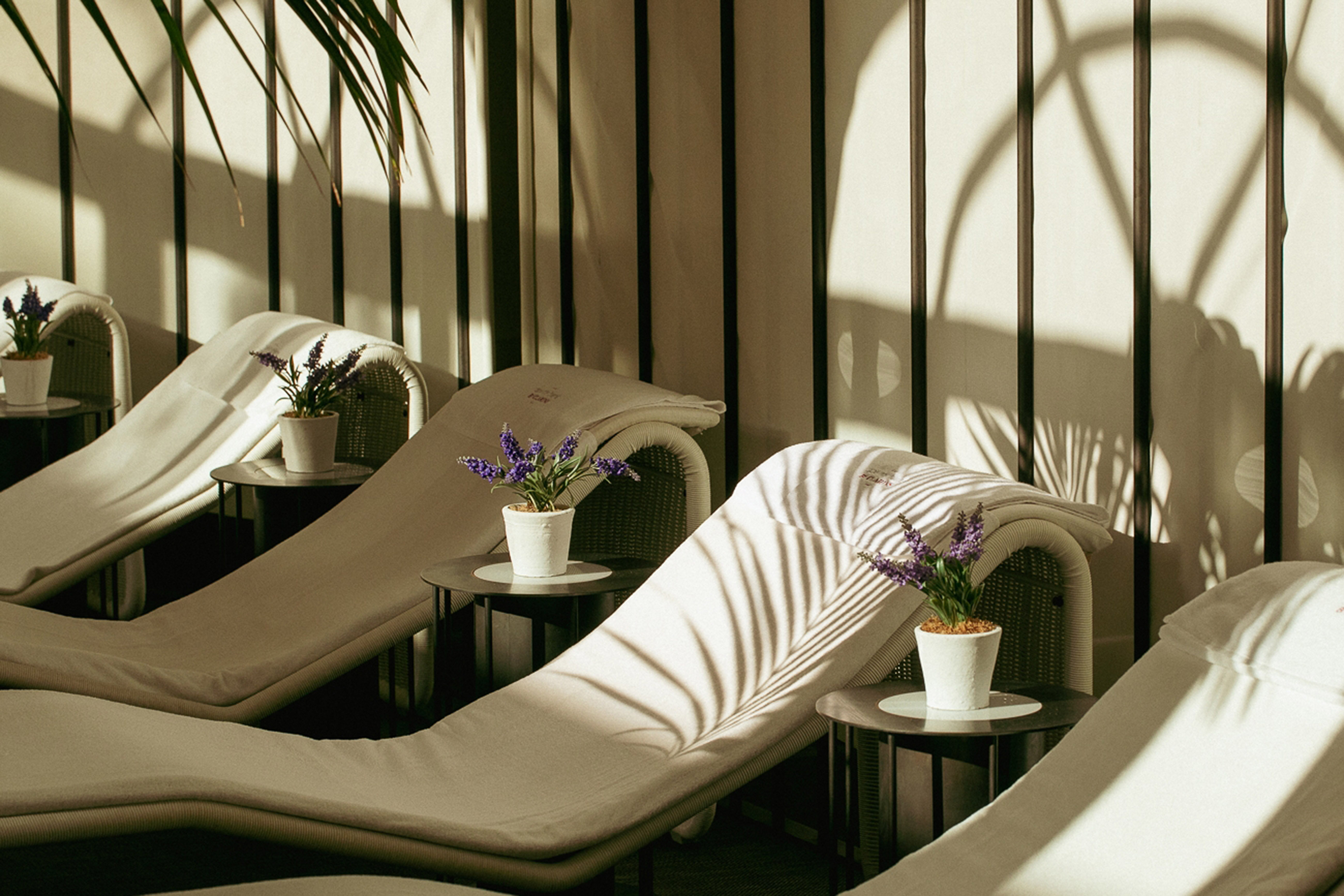 Sunlit spa relaxation room with lounge chairs, lavender, and palm shadows.
