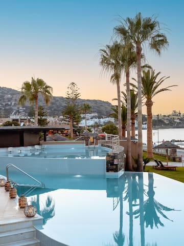 a pool with palm trees and a beach in the background